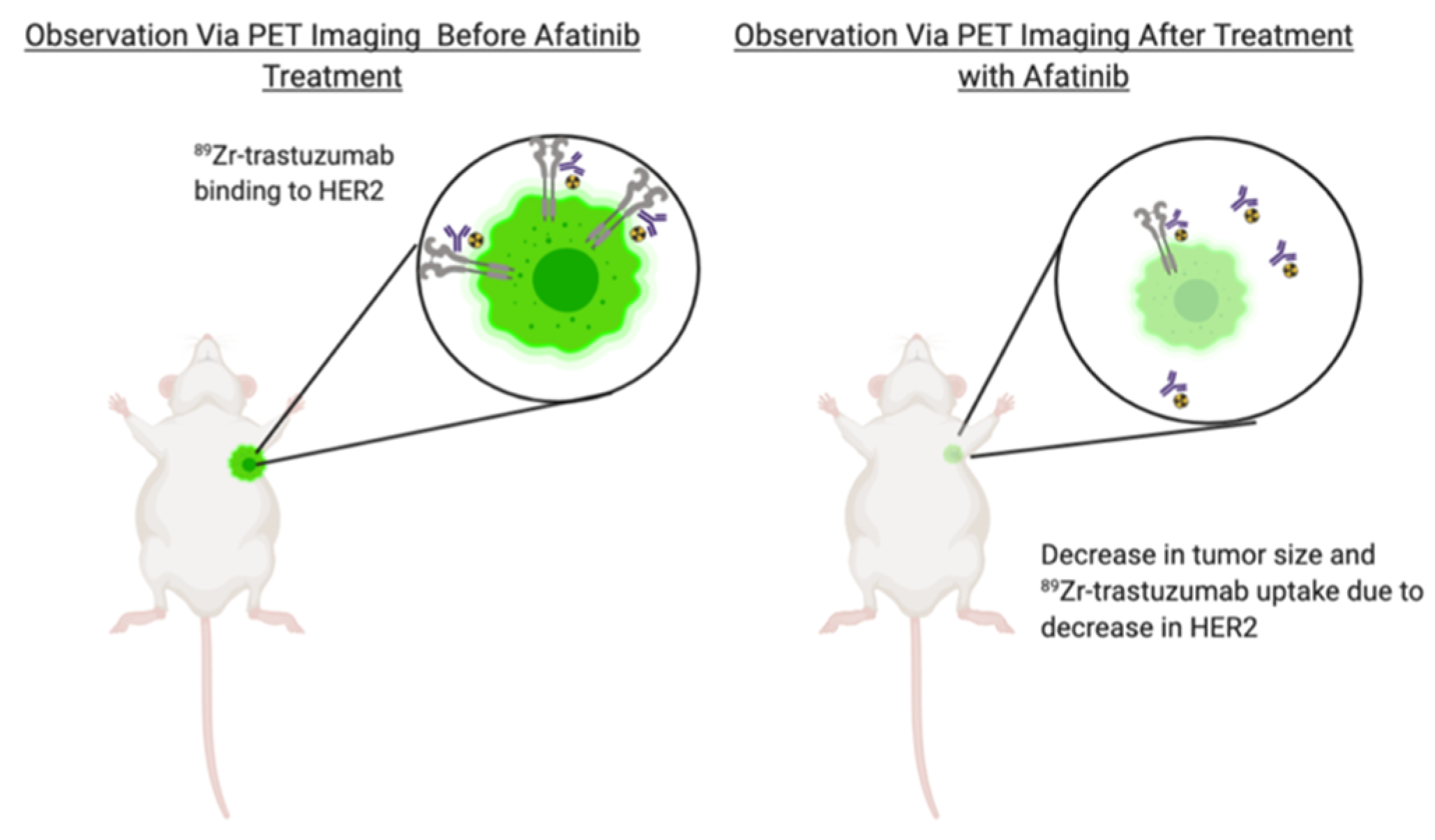 Molecules 25 04621 g002