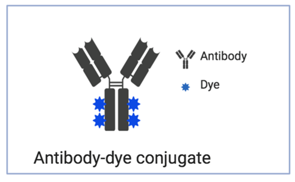 Molecules 25 04621 g003