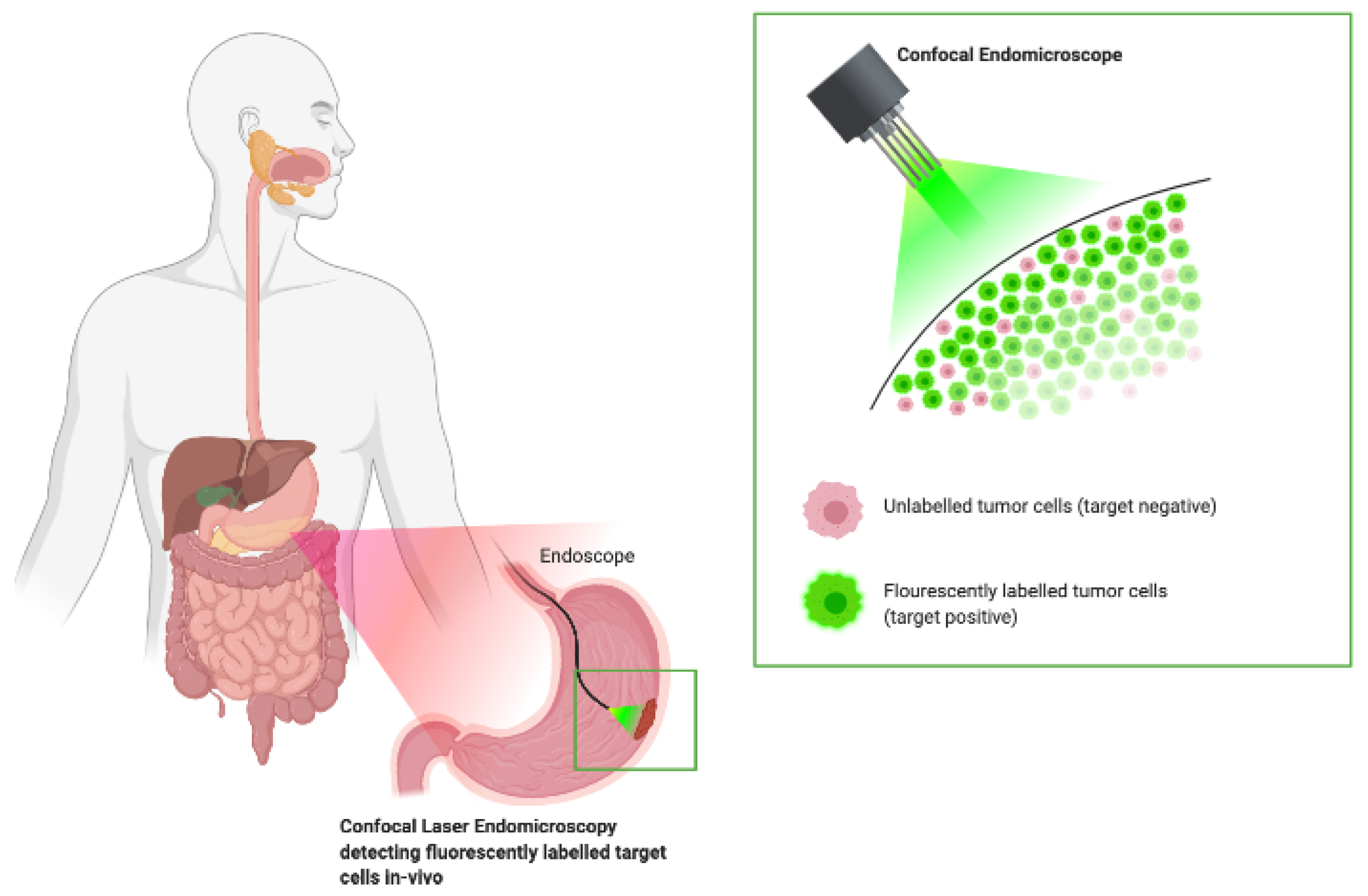 Molecules 25 04621 g004