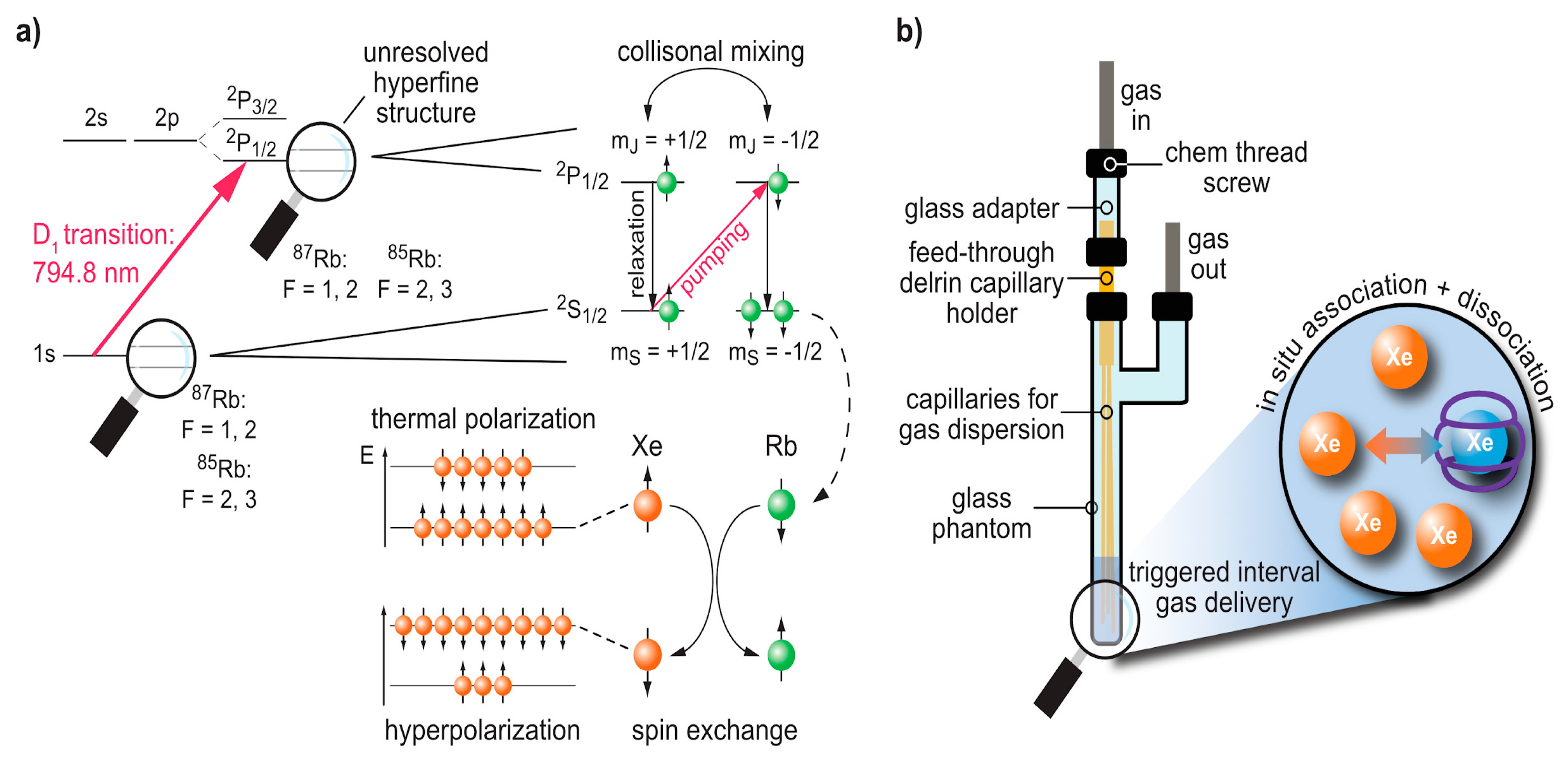Molecules 25 04627 g001