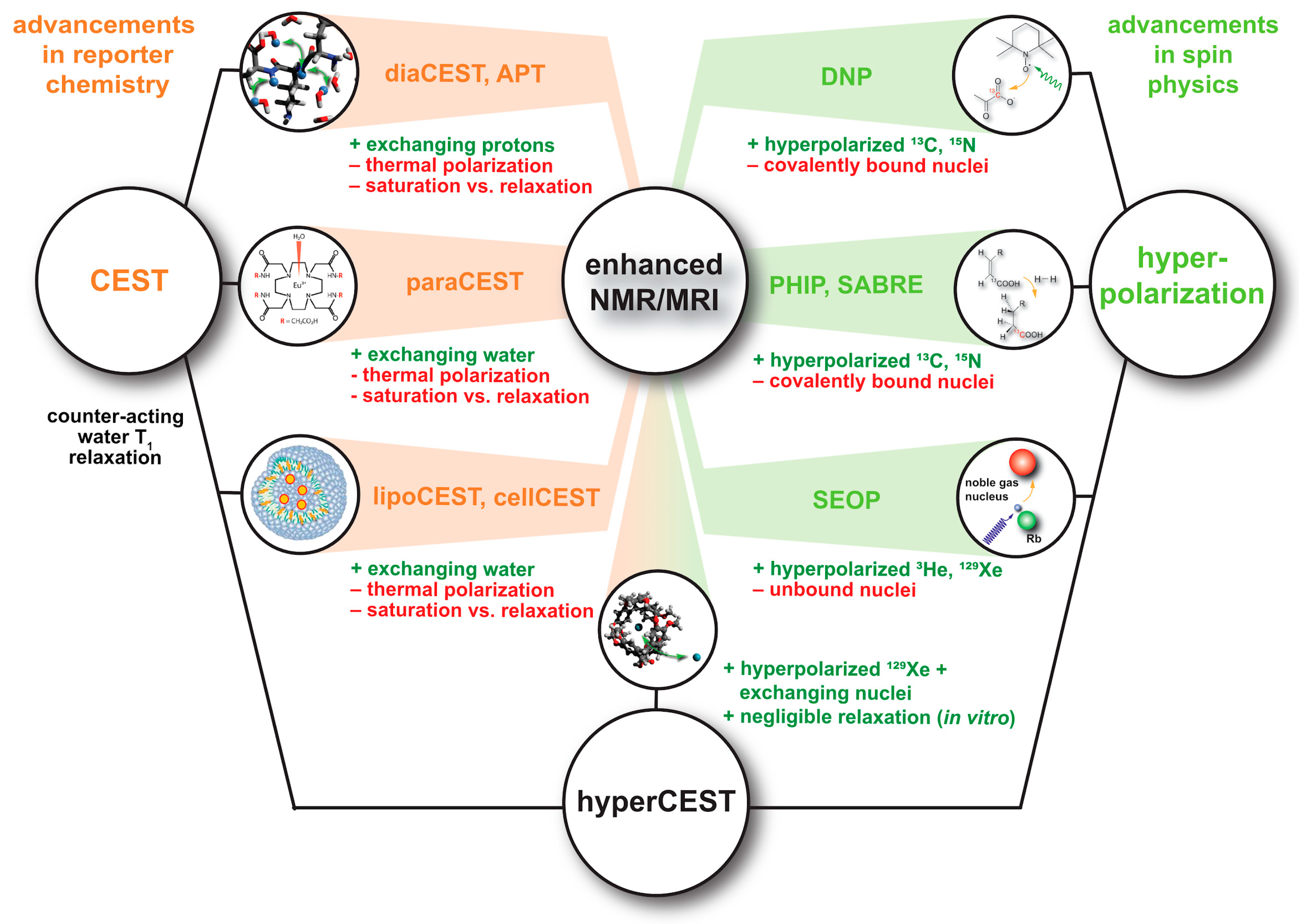 Molecules 25 04627 g004