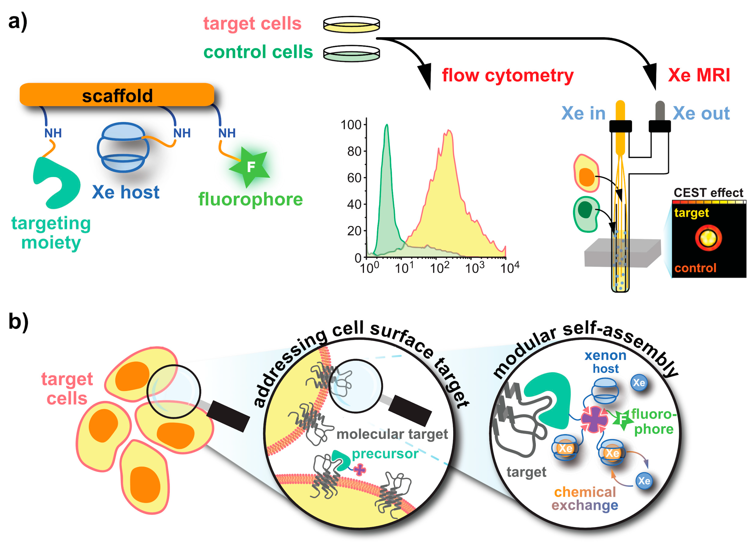 Molecules 25 04627 g005