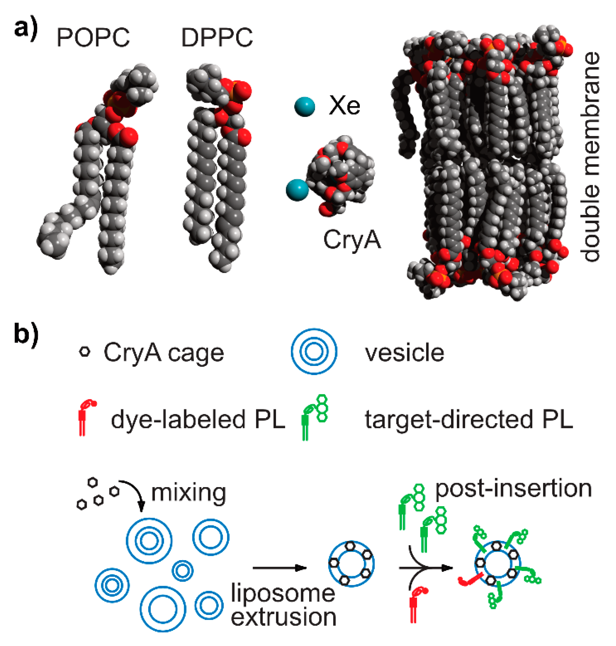 Molecules 25 04627 g011