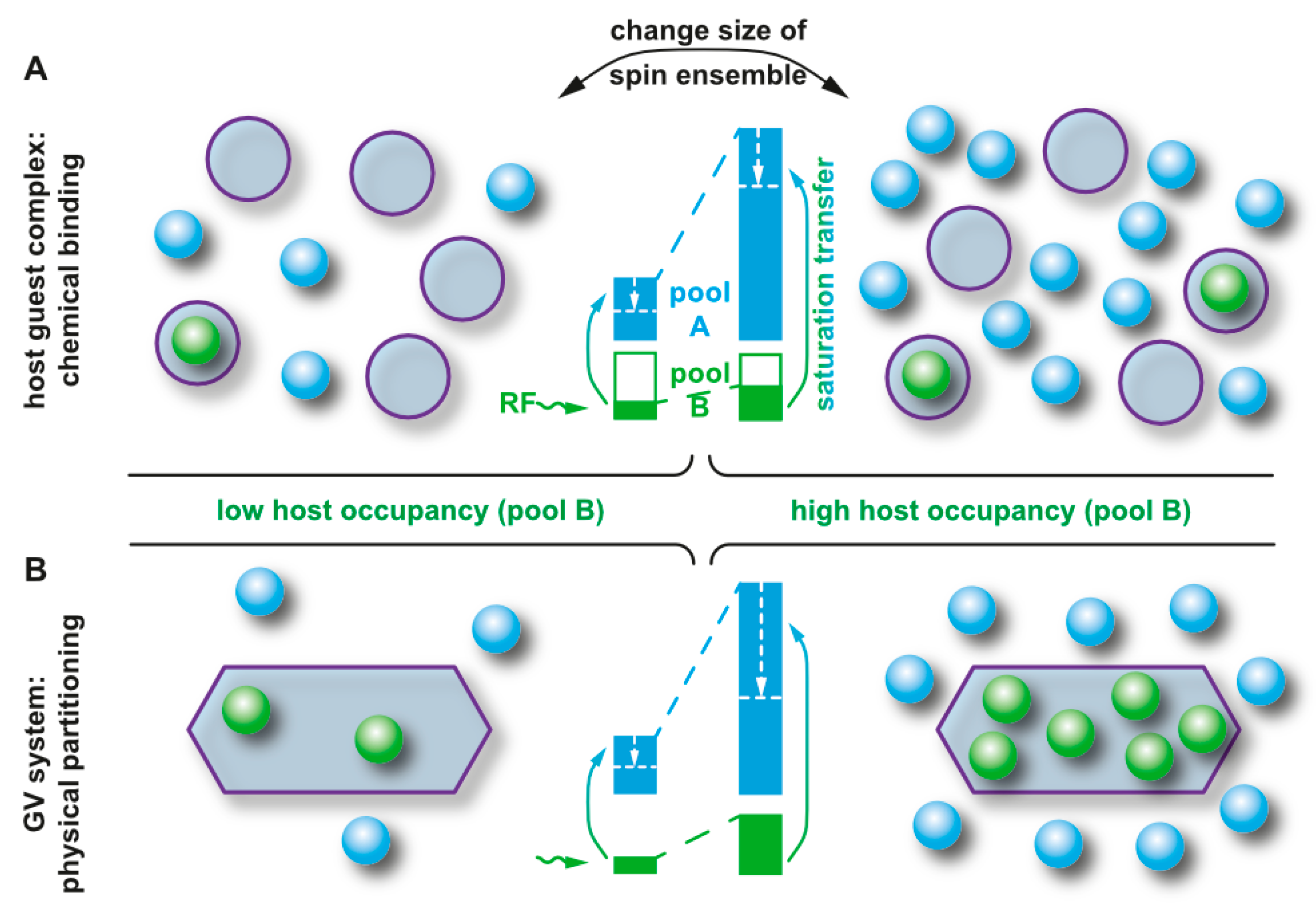 Molecules 25 04627 g013