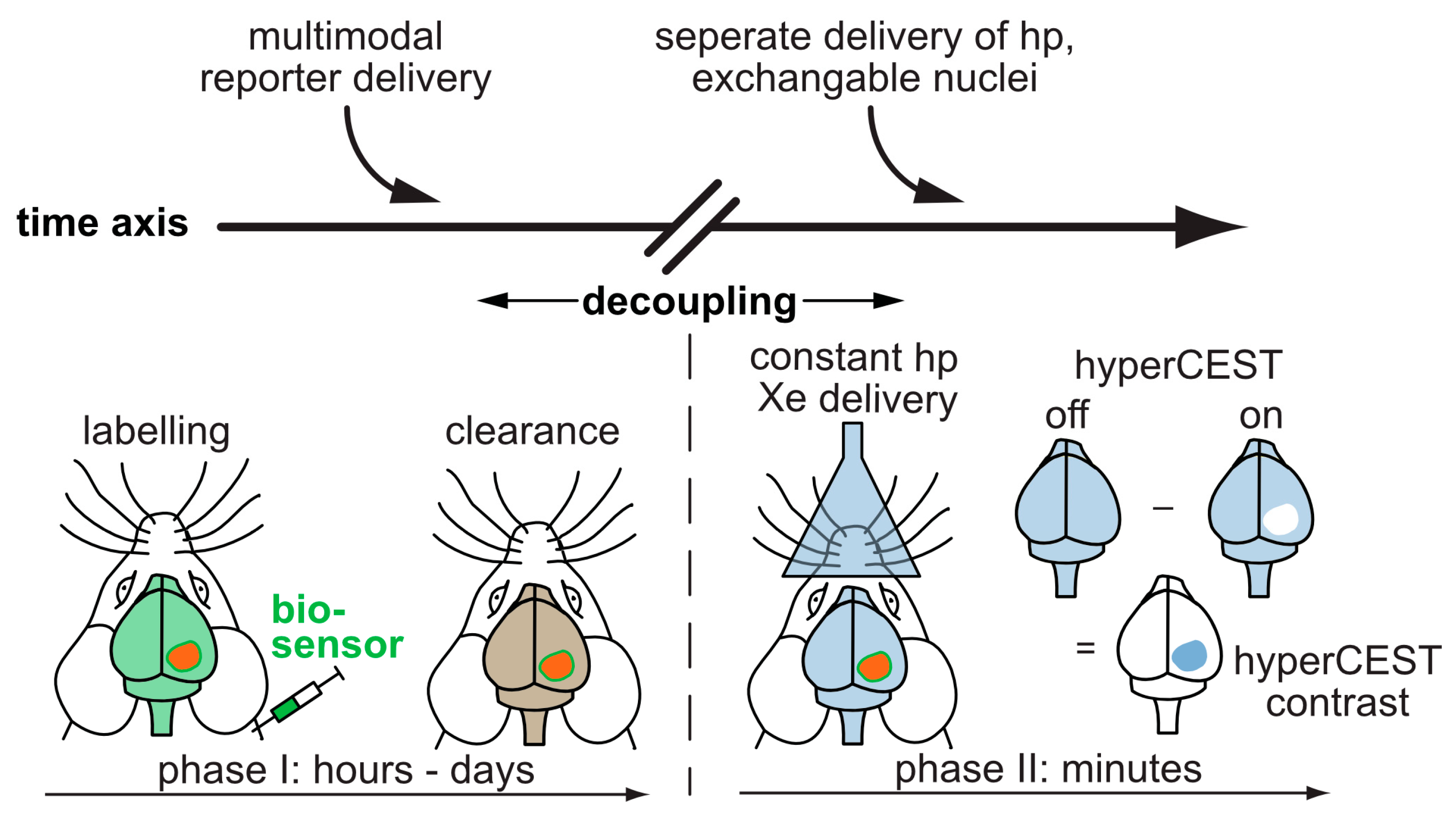 Molecules 25 04627 g015
