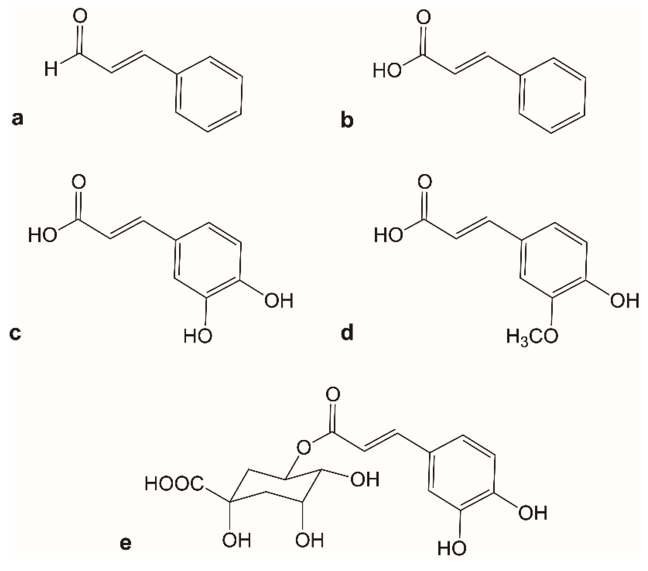 Molecules 25 04629 g001