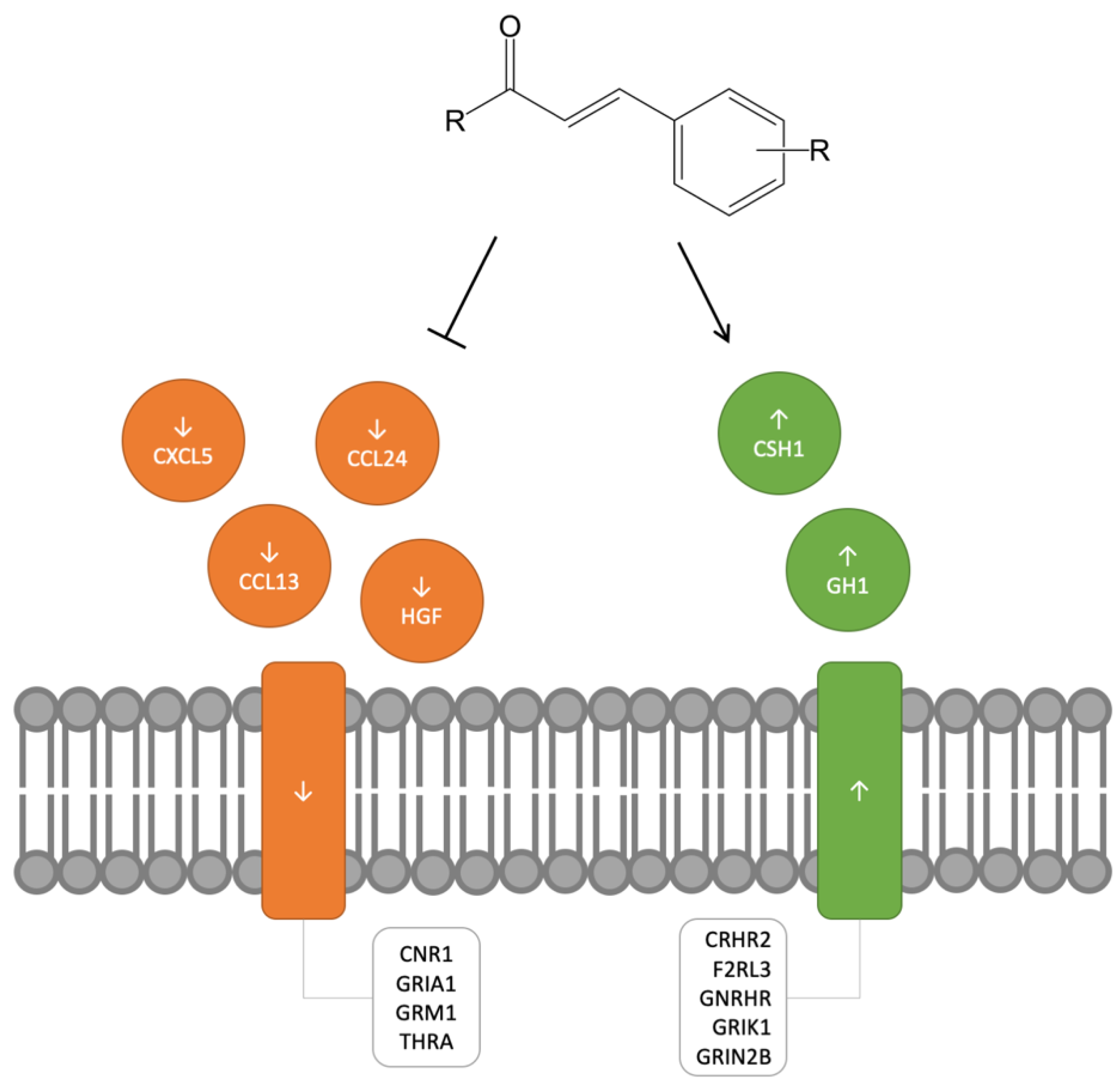 Molecules 25 04629 g003