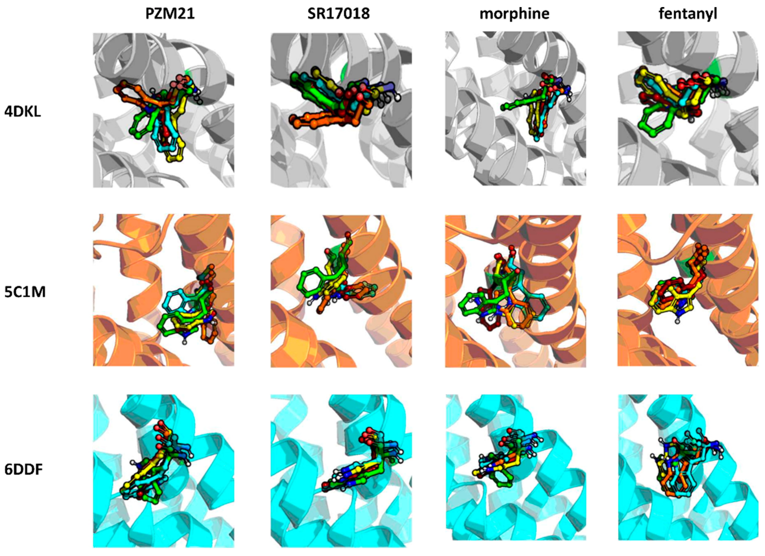 Molecules 25 04636 g009