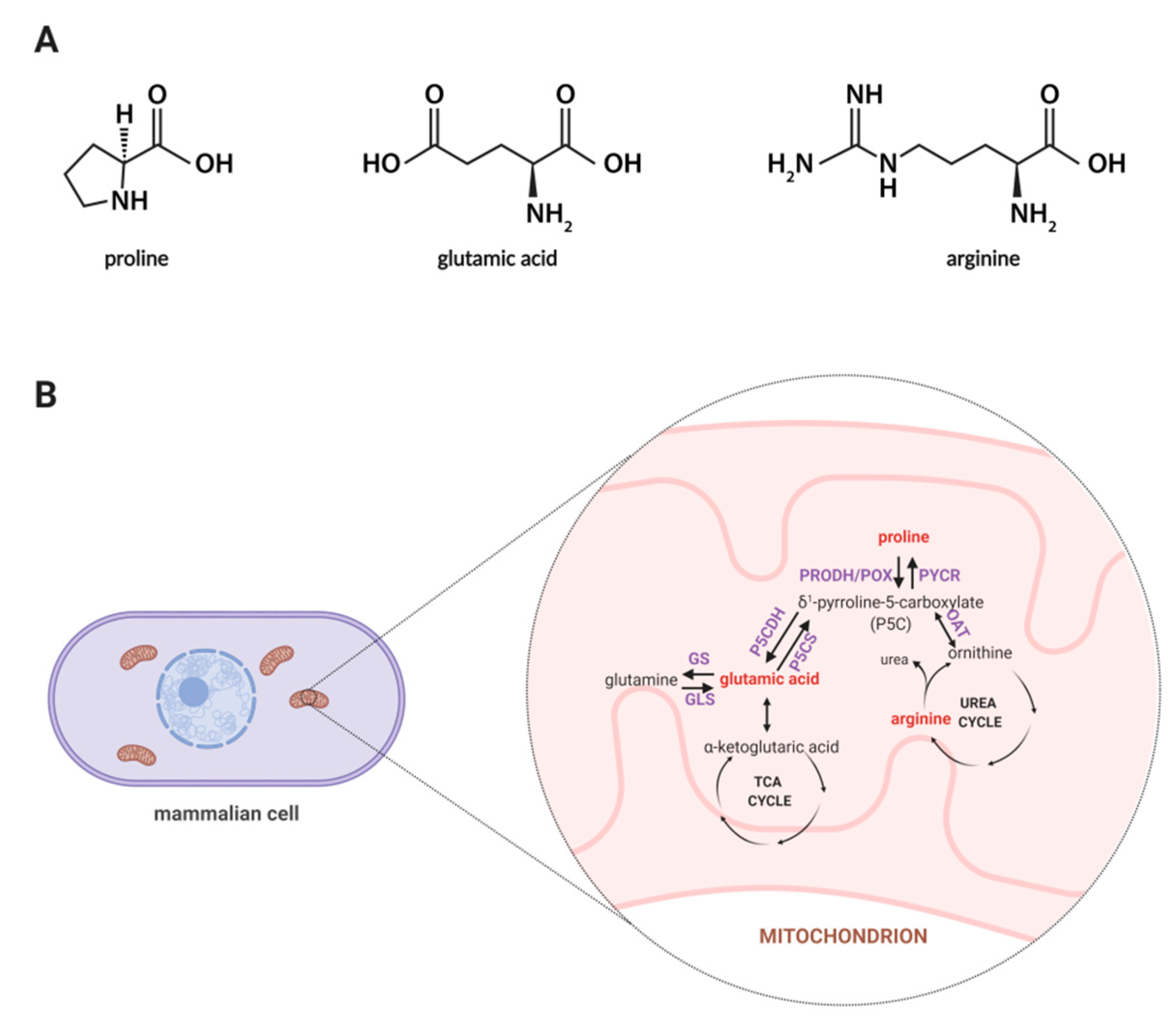 Molecules 25 04639 g001