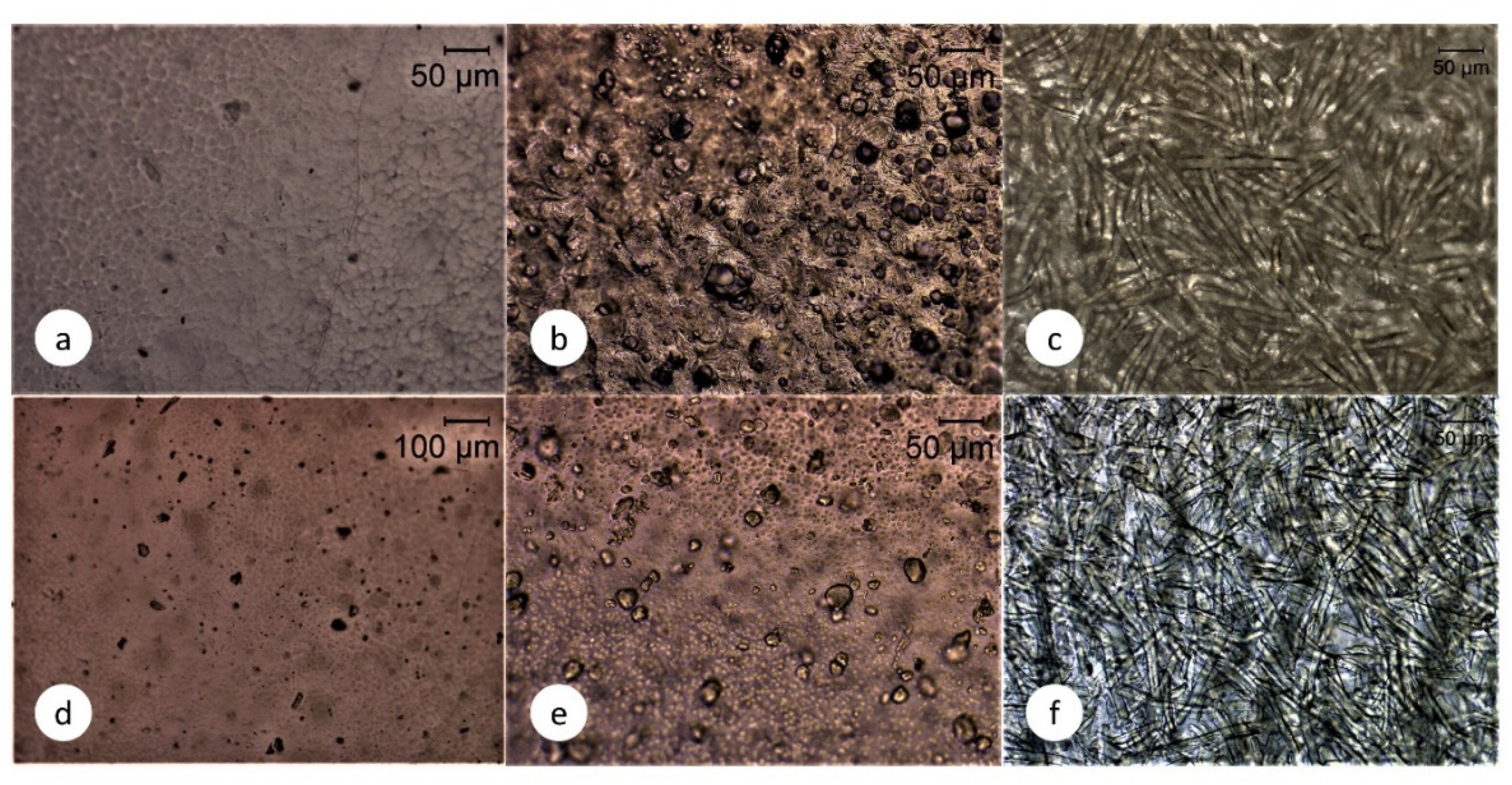 Molecules 25 04653 g006 Molecules 25 04653 g006
