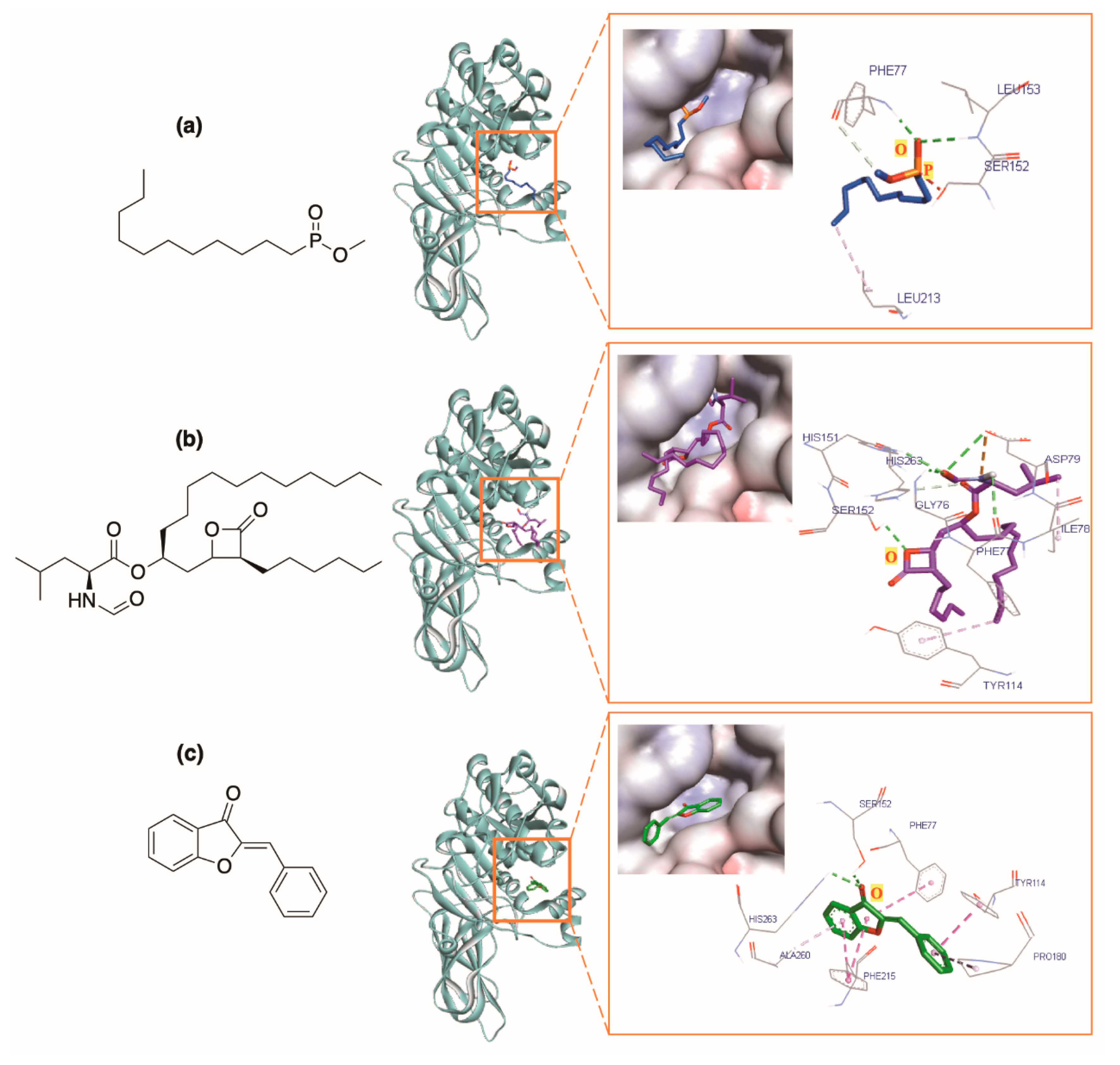 Molecules 25 04657 g003 Molecules 25 04657 g003