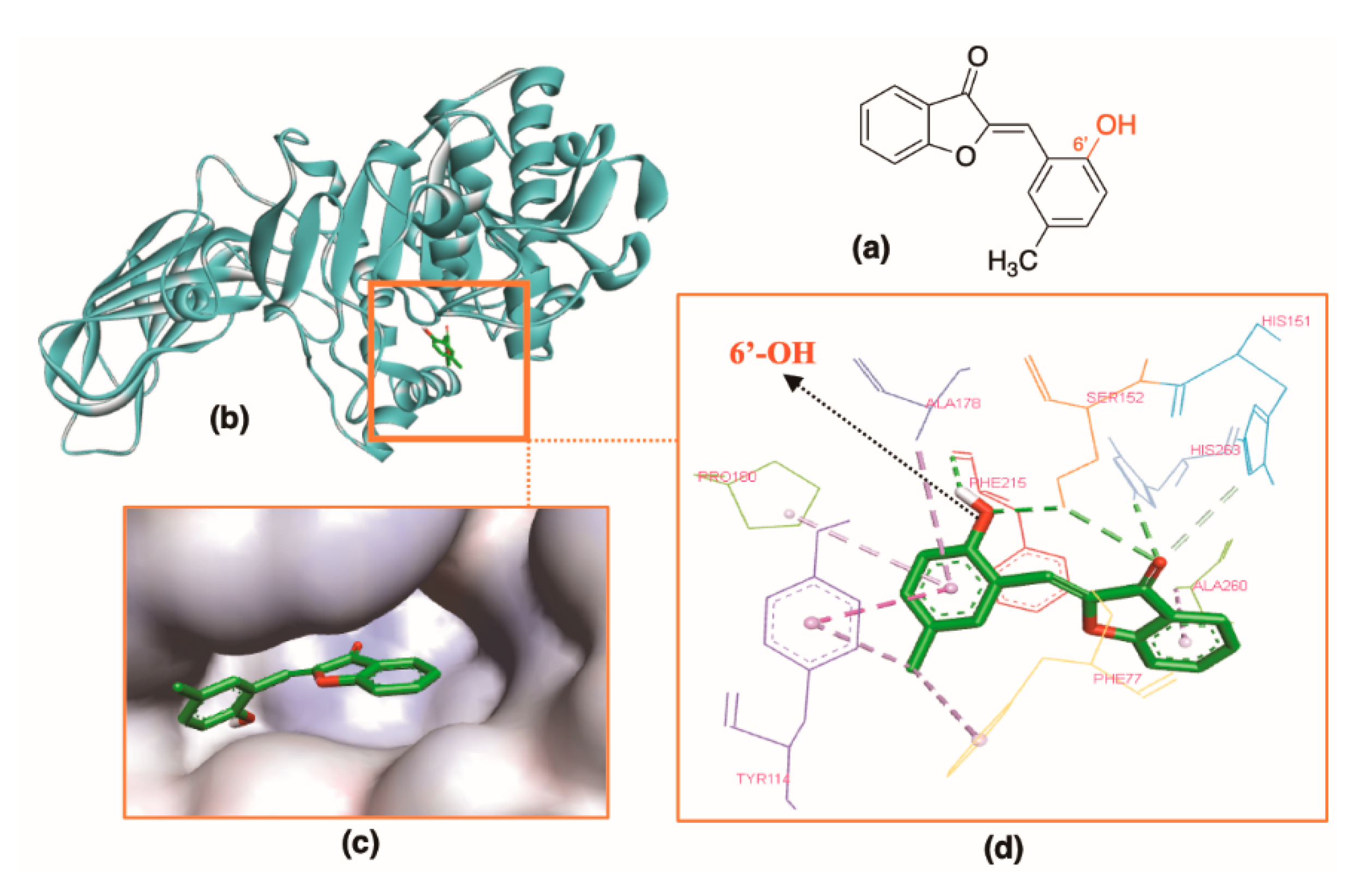 Molecules 25 04657 g005 Molecules 25 04657 g005