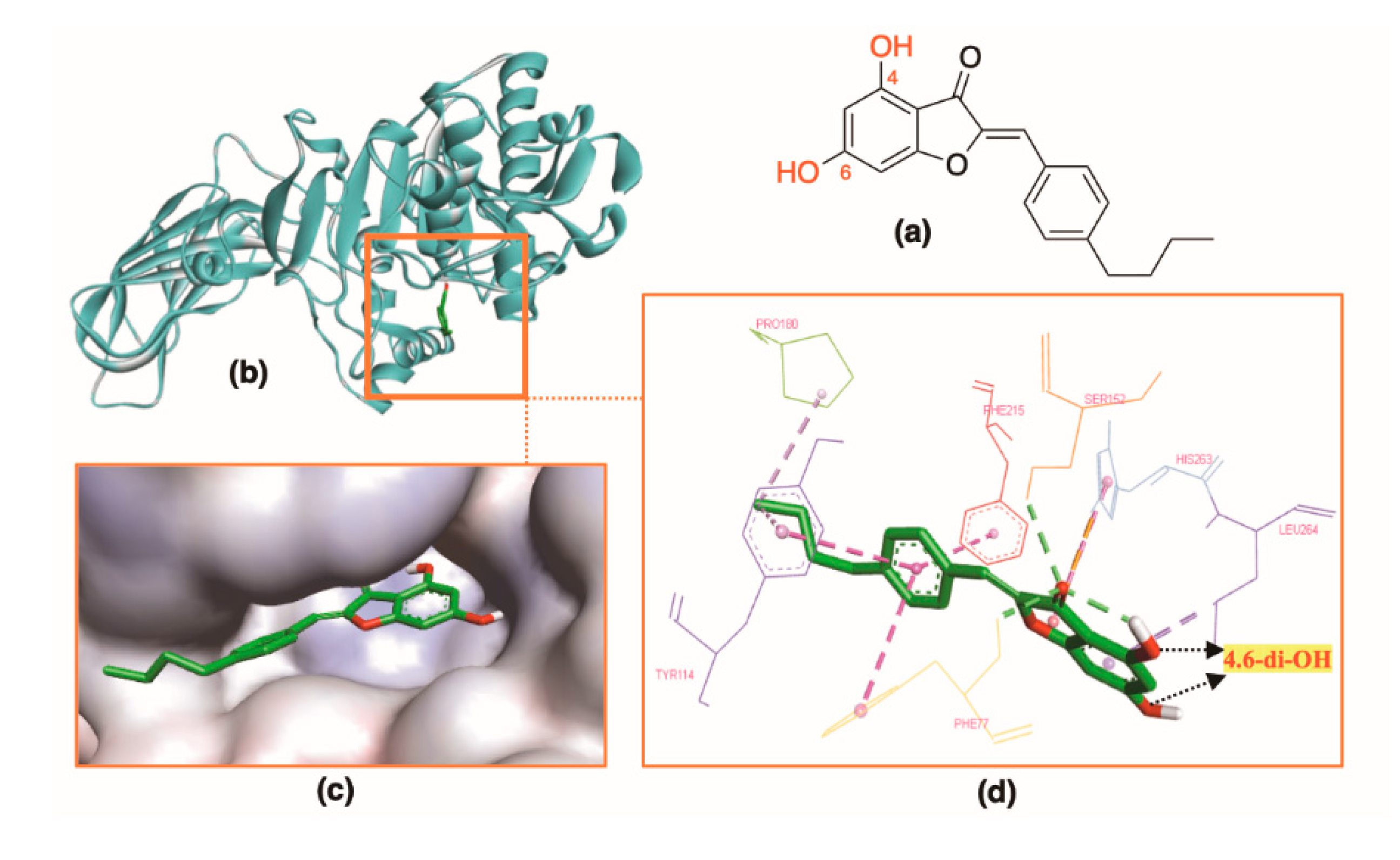 Molecules 25 04657 g007 Molecules 25 04657 g007