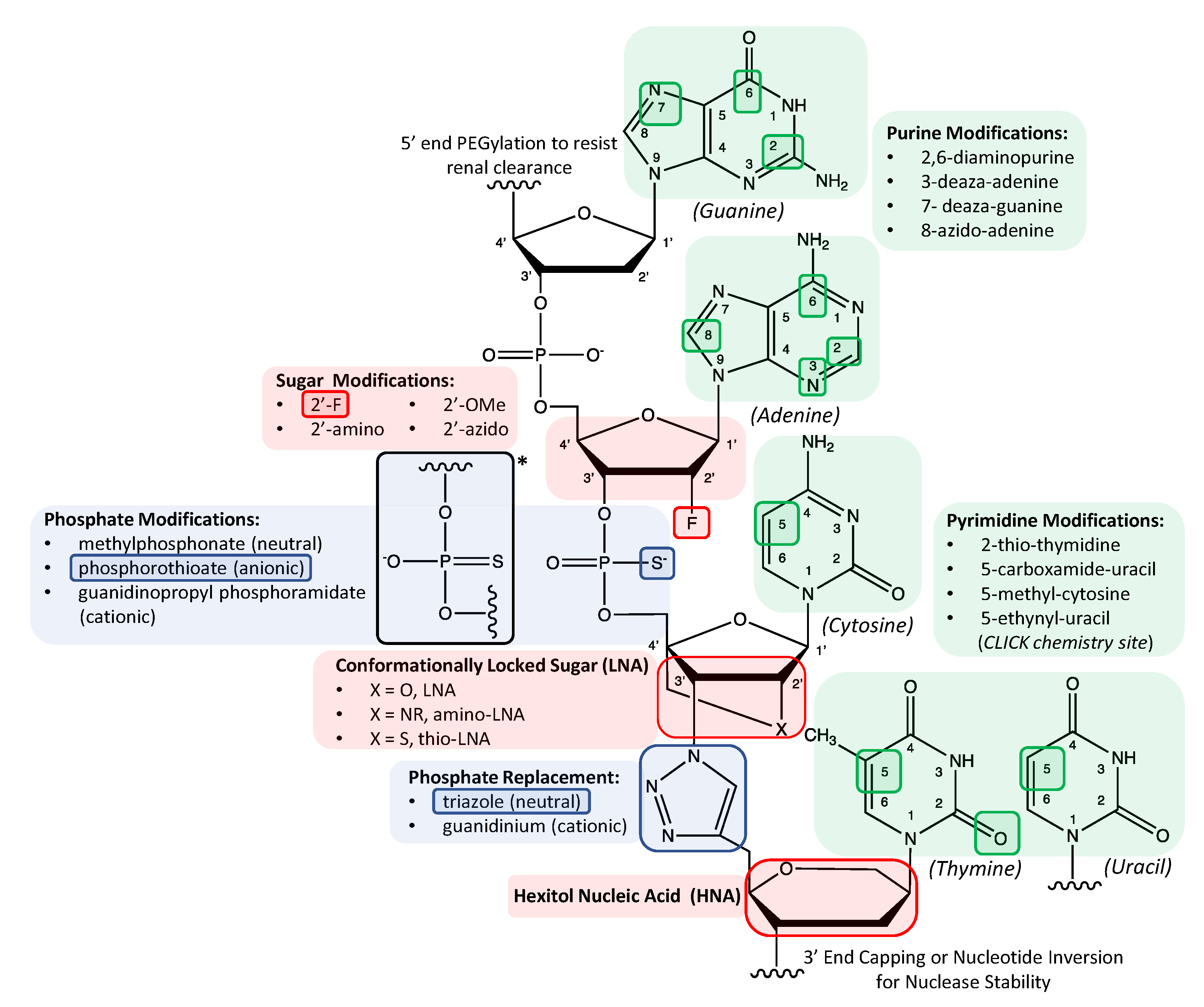 Molecules 25 04659 g001