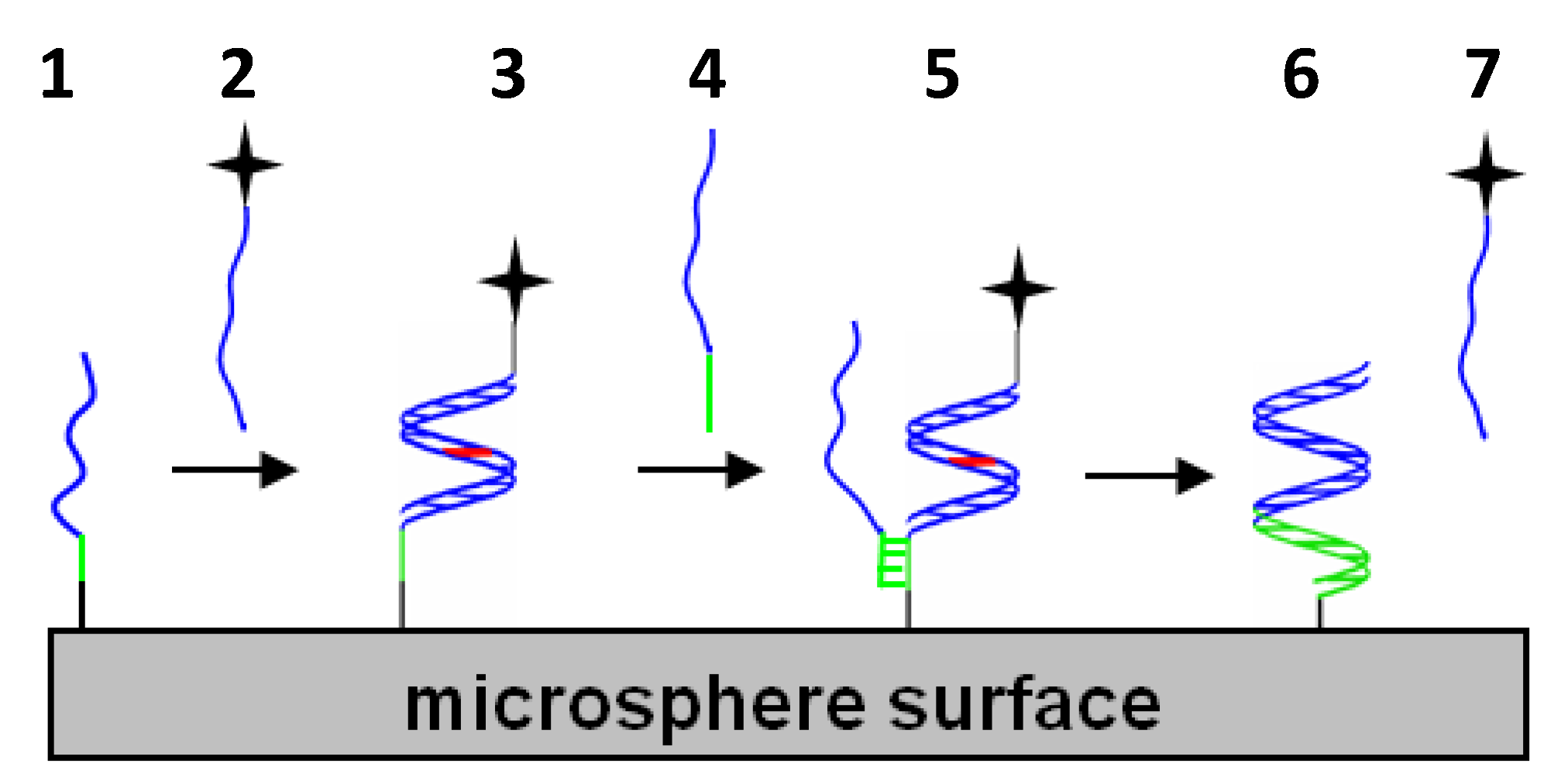 Molecules 25 04659 g002