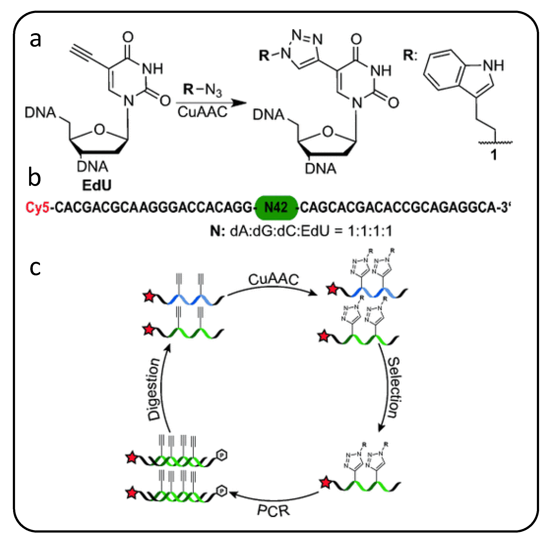 Molecules 25 04659 g003