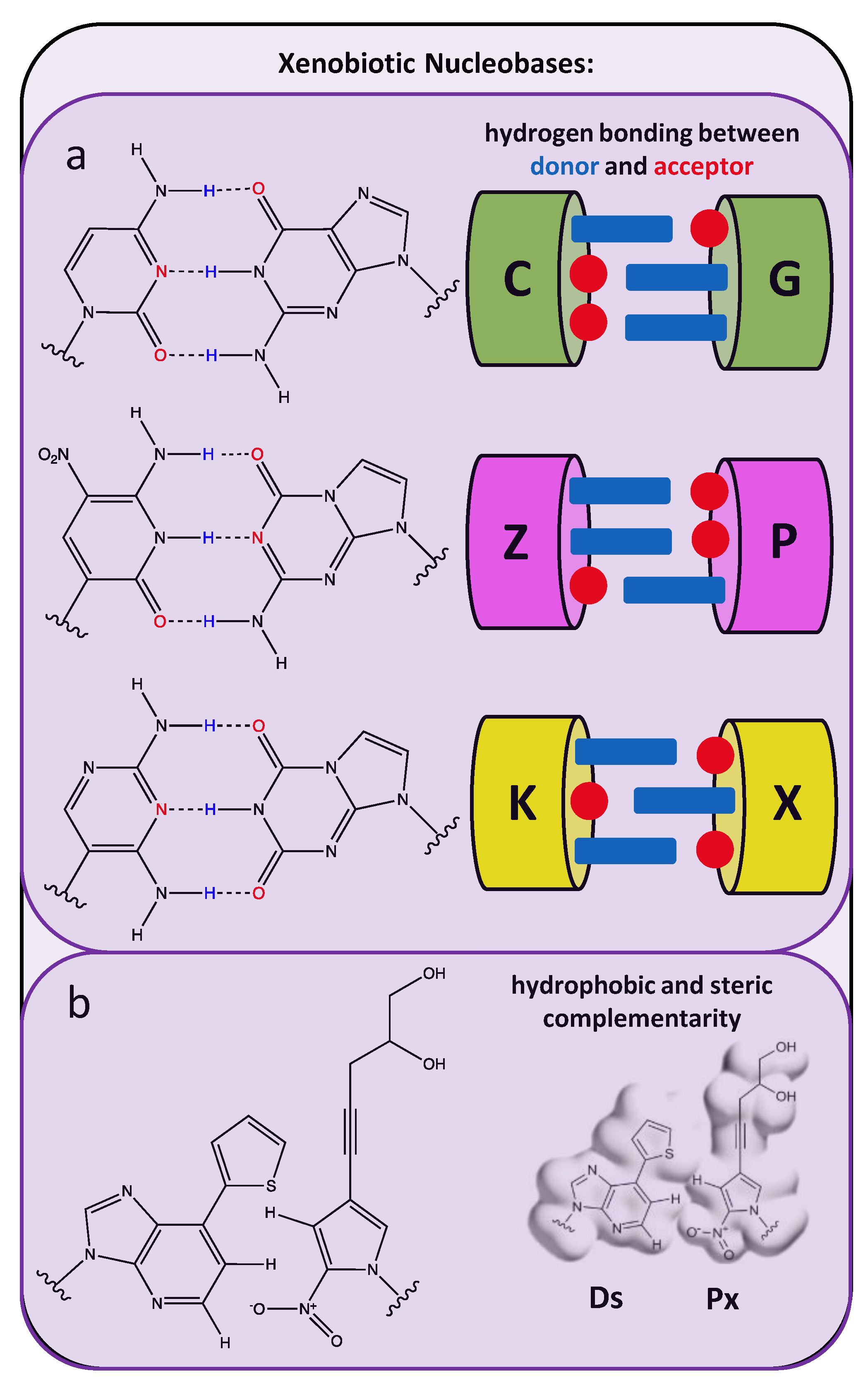 Molecules 25 04659 g004