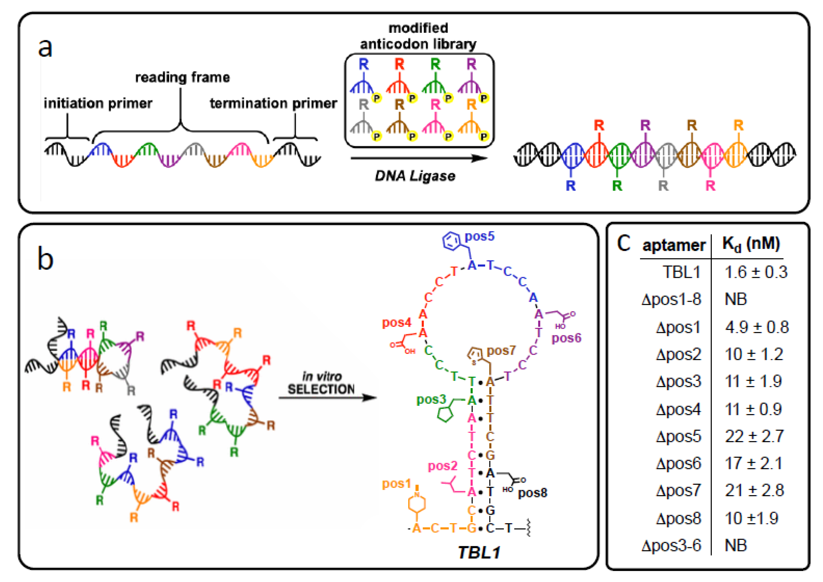 Molecules 25 04659 g005