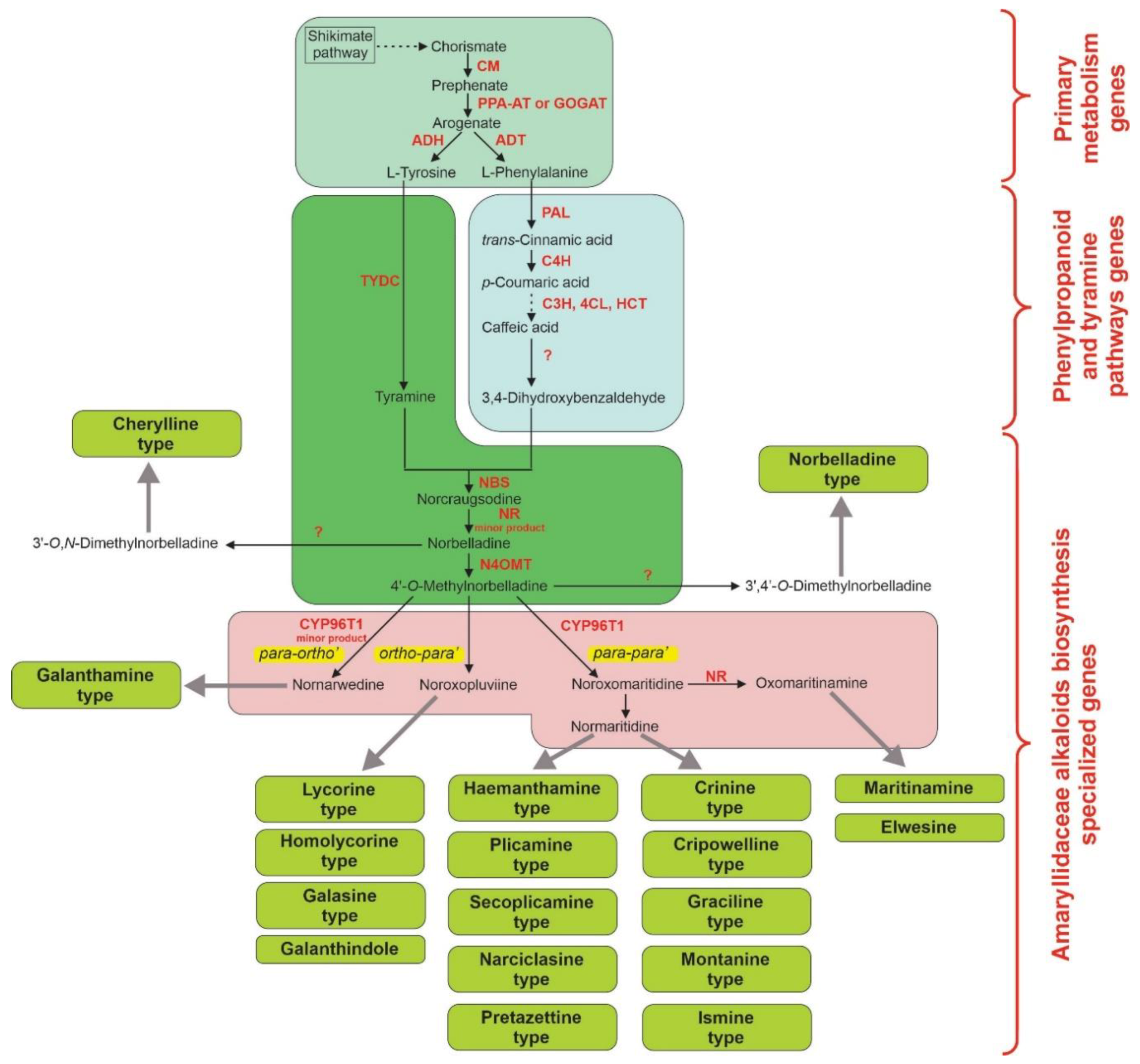 Molecules 25 04670 g002