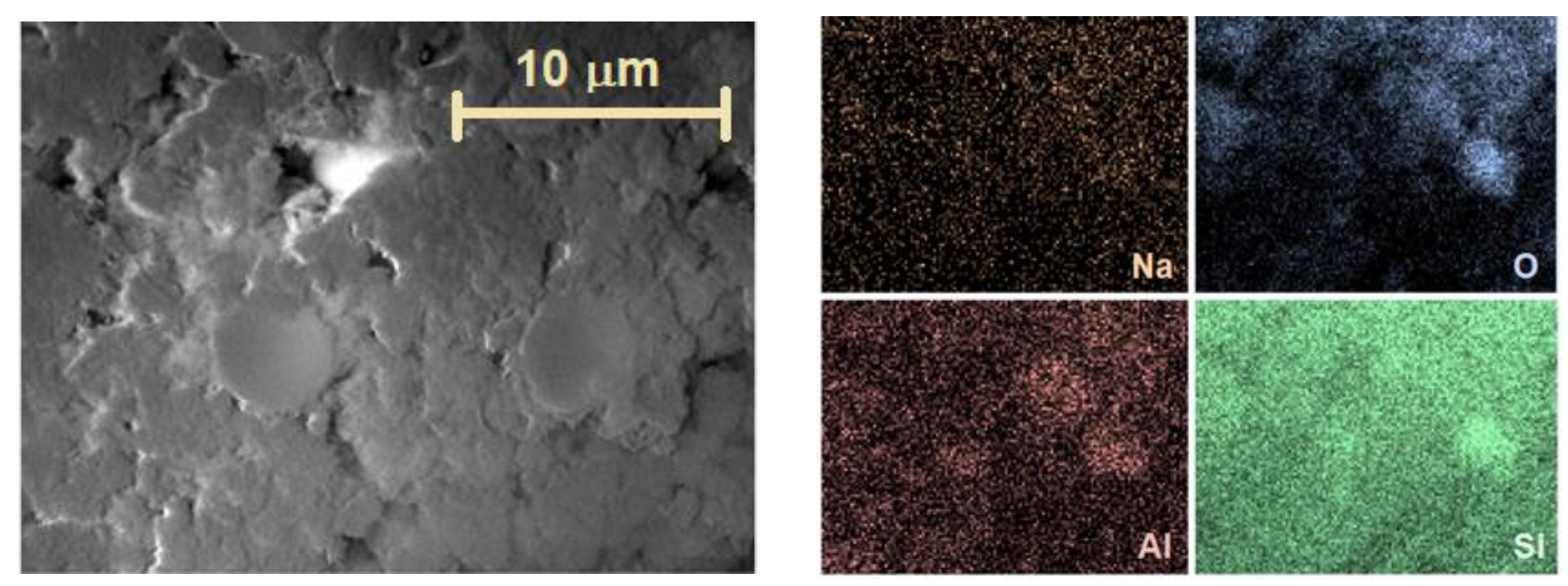 Molecules 25 04678 g004