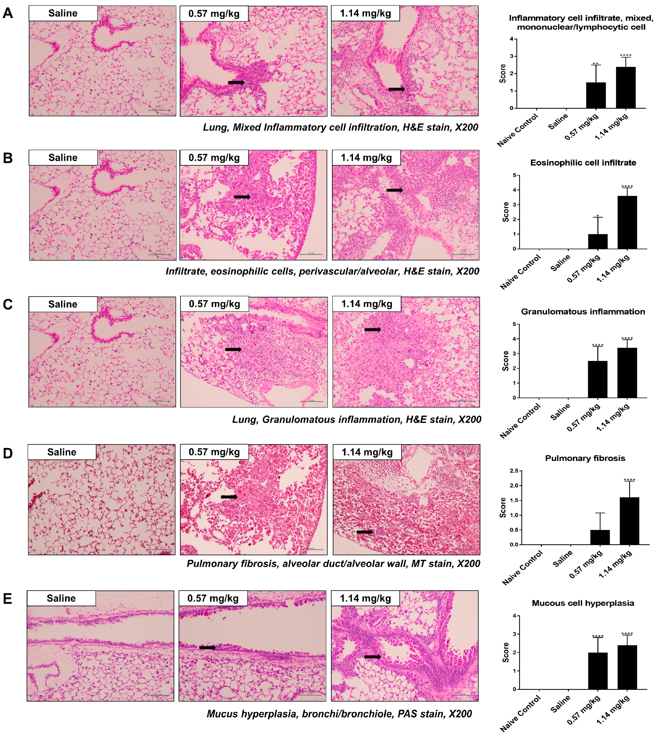 Molecules 25 04684 g002