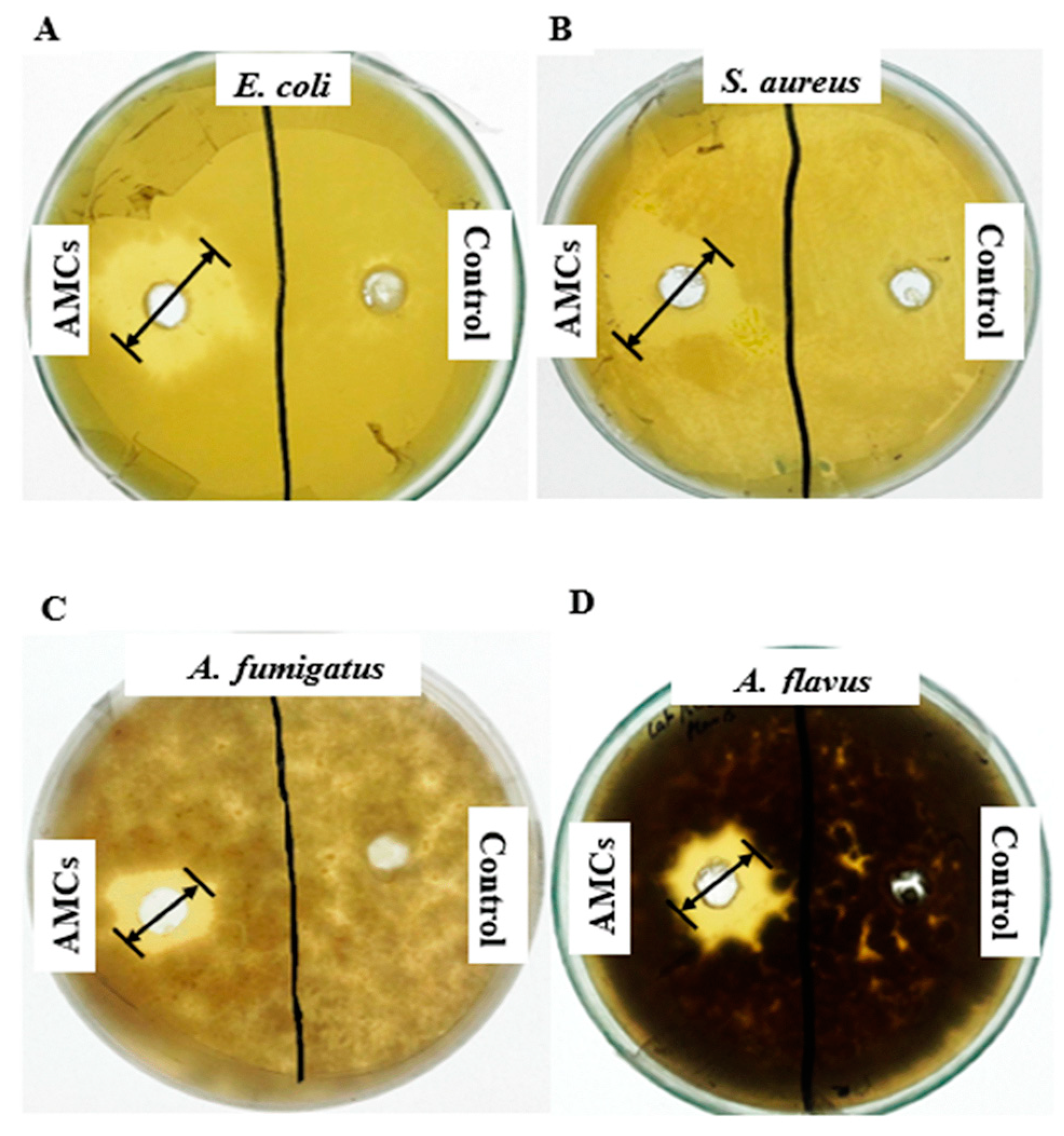 Molecules 25 04685 g001 Molecules 25 04685 g001