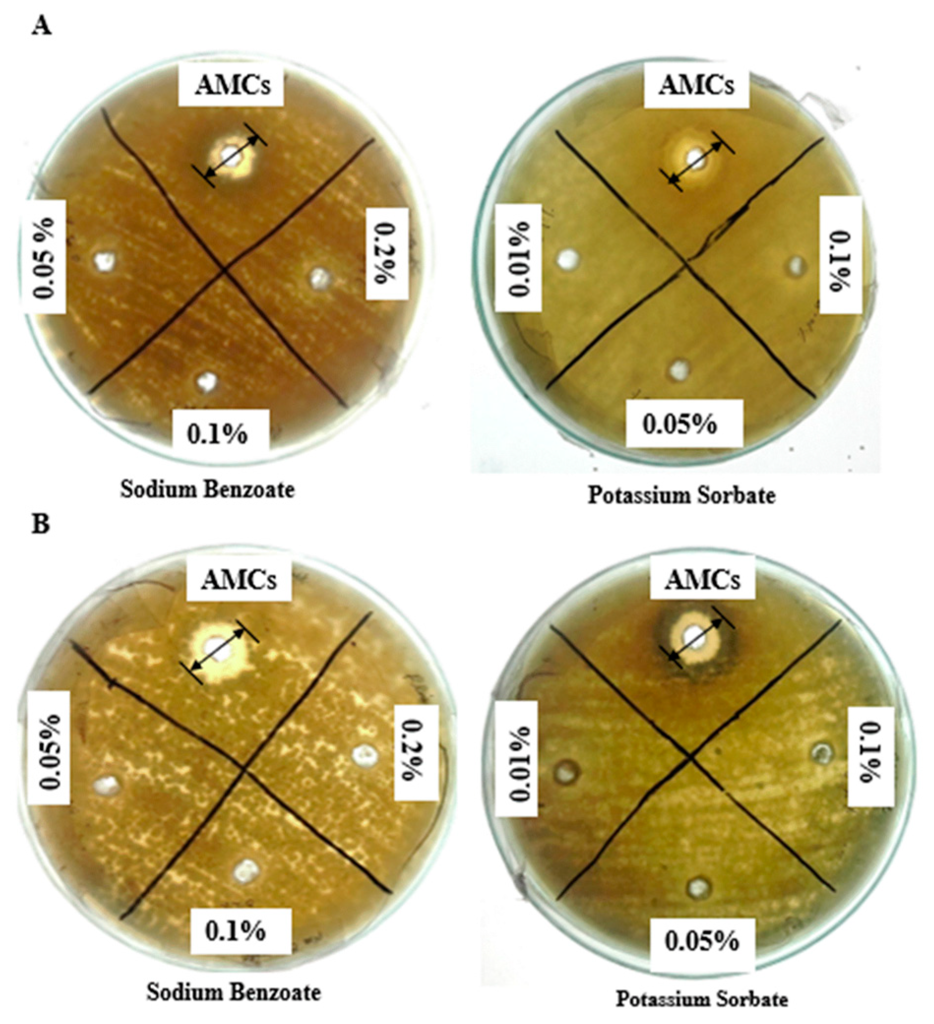Molecules 25 04685 g002 Molecules 25 04685 g002