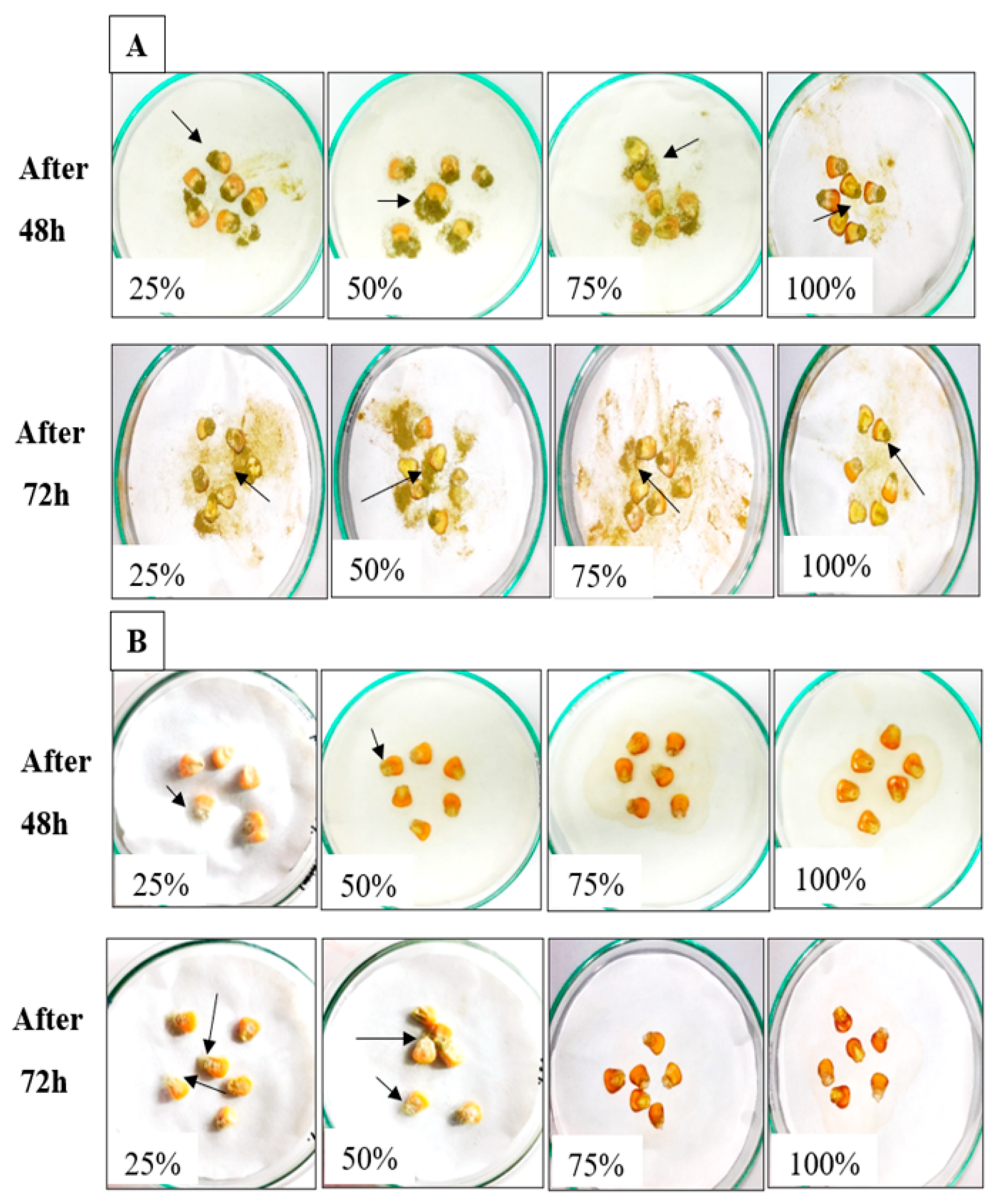 Molecules 25 04685 g003 Molecules 25 04685 g003