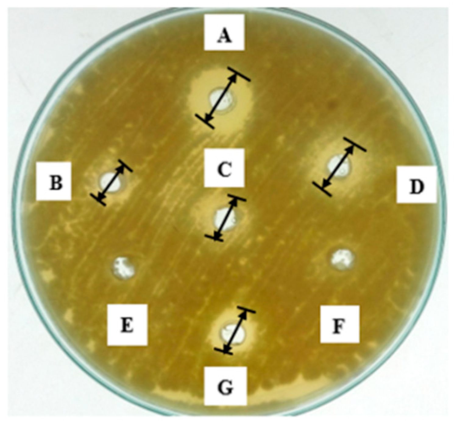 Molecules 25 04685 g005 Molecules 25 04685 g005