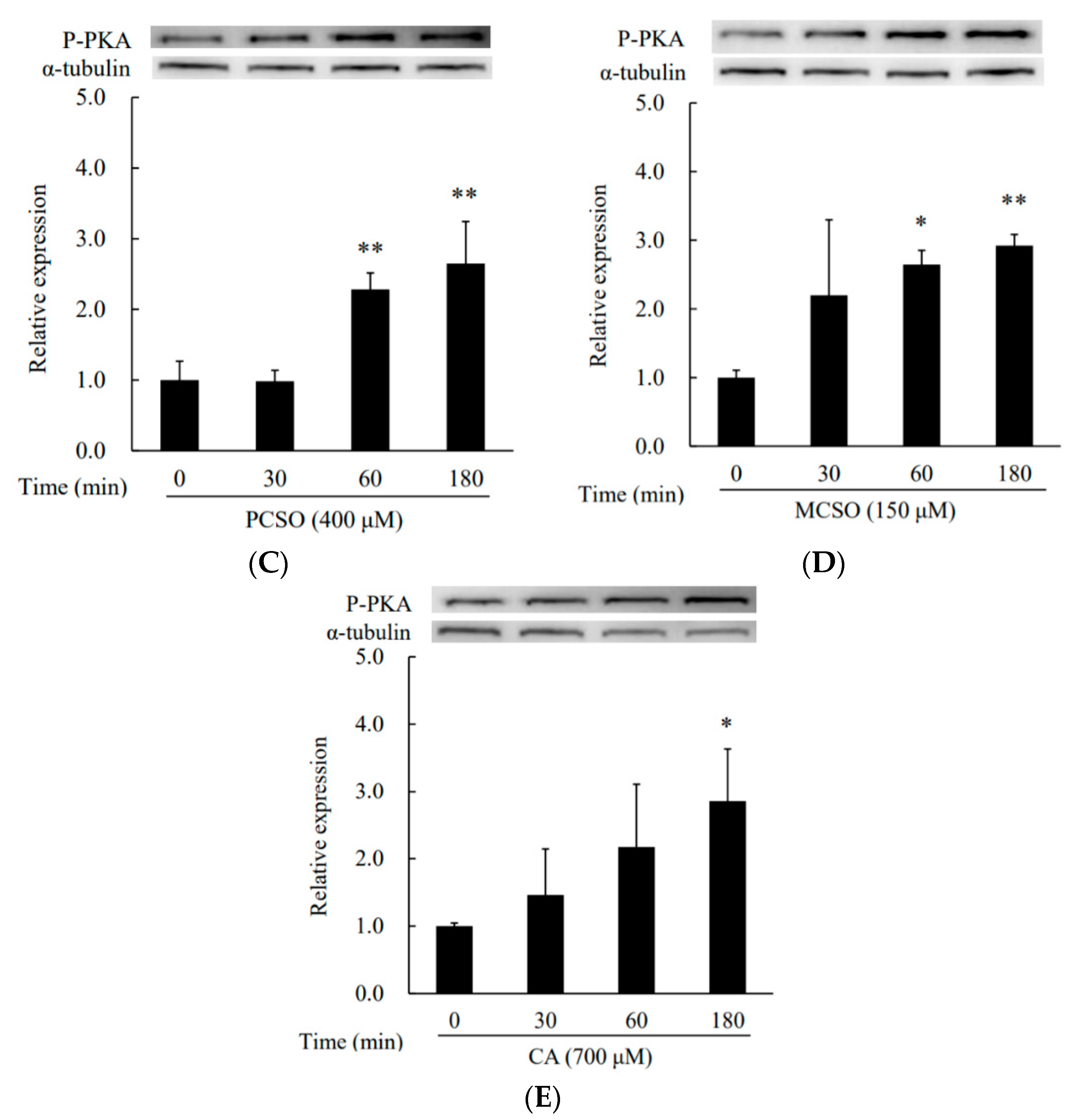 Molecules 25 04694 g004b