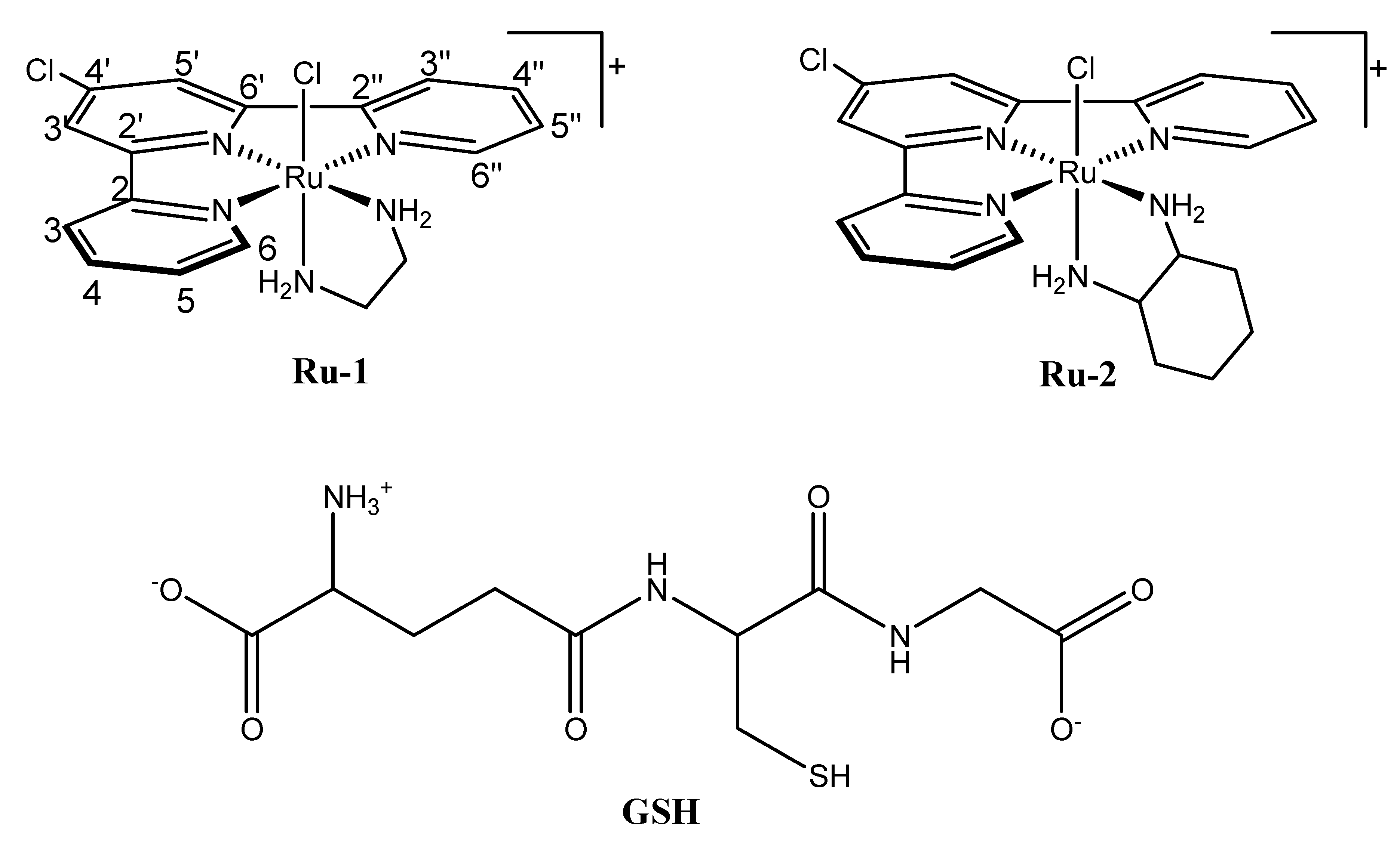 Molecules 25 04699 g001
