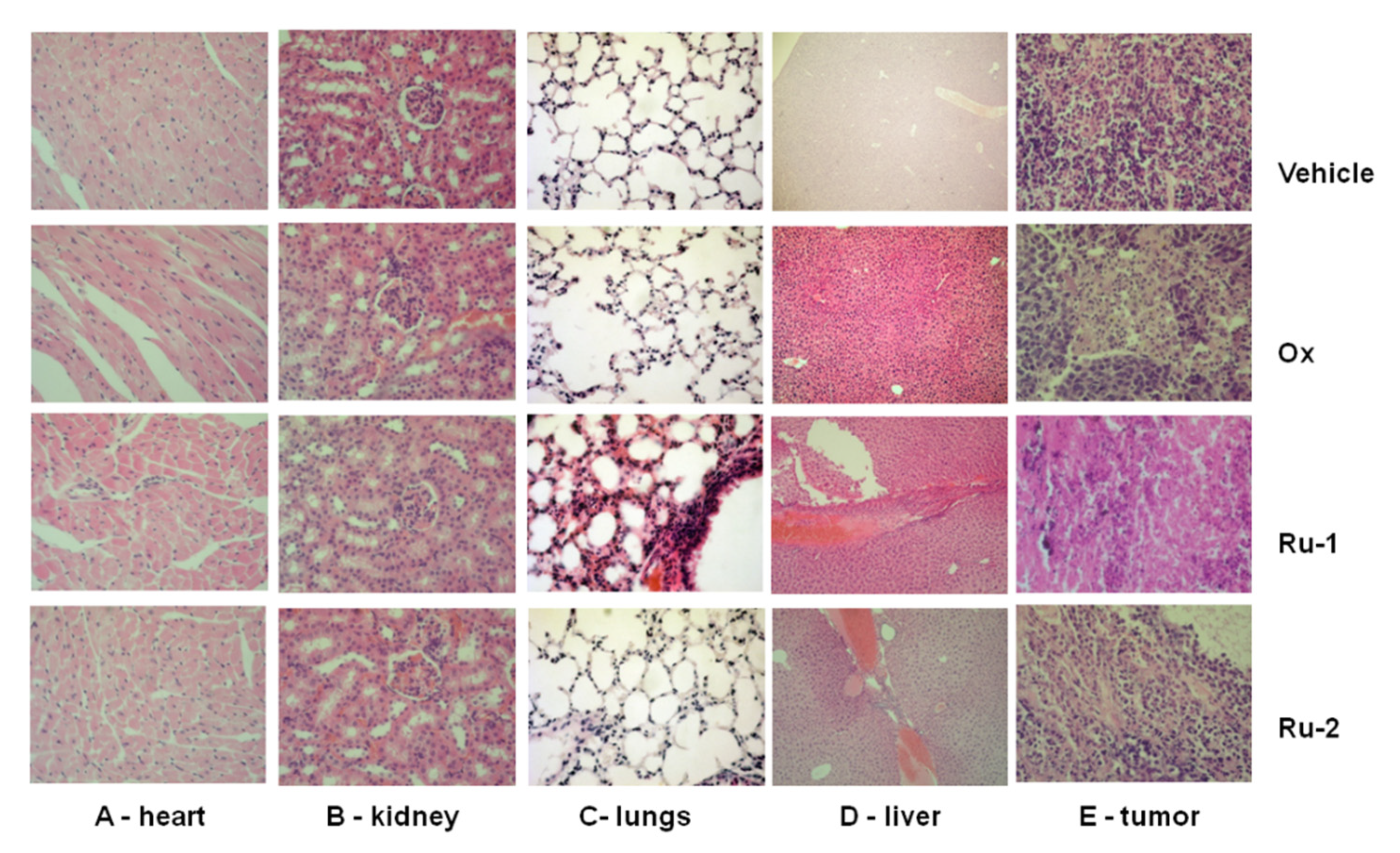 Molecules 25 04699 g010