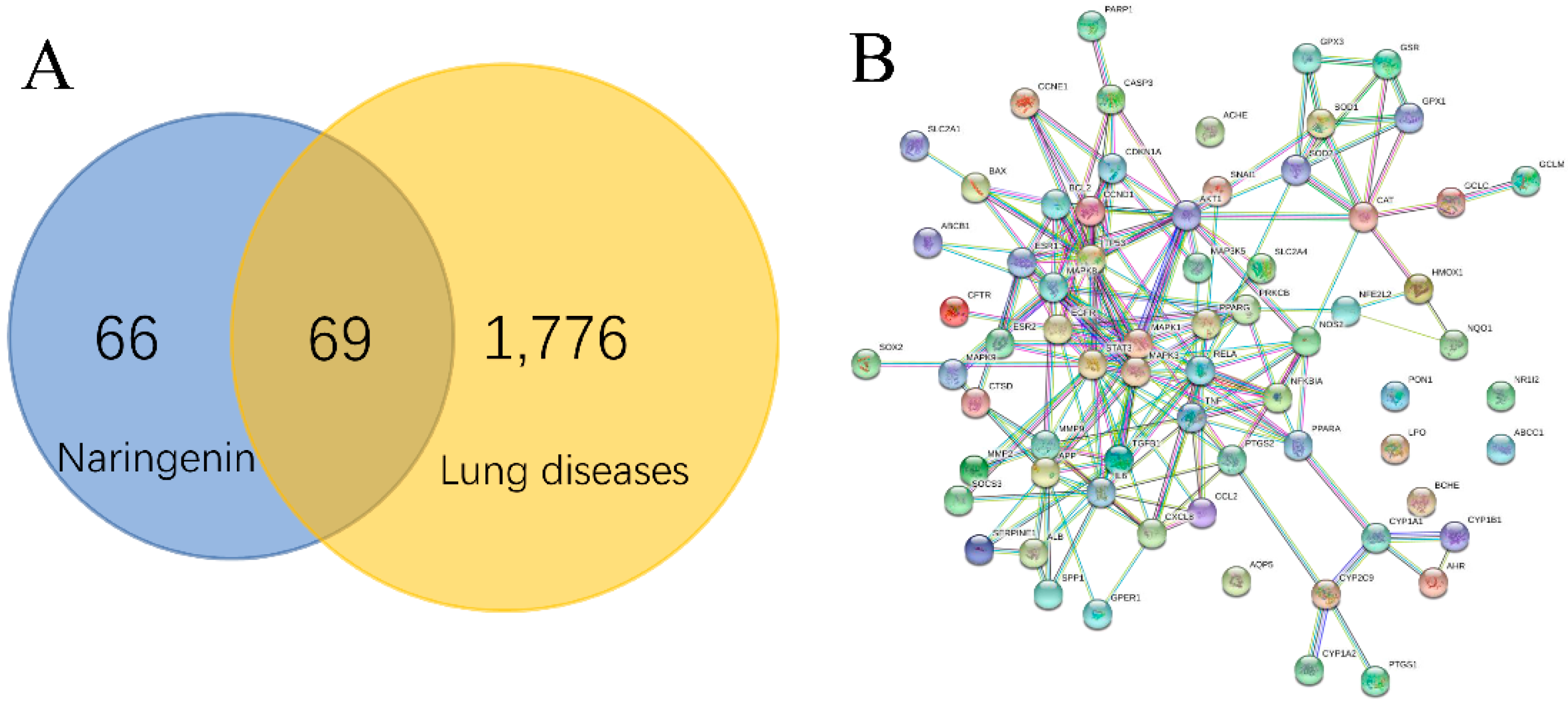 Molecules 25 04704 g001