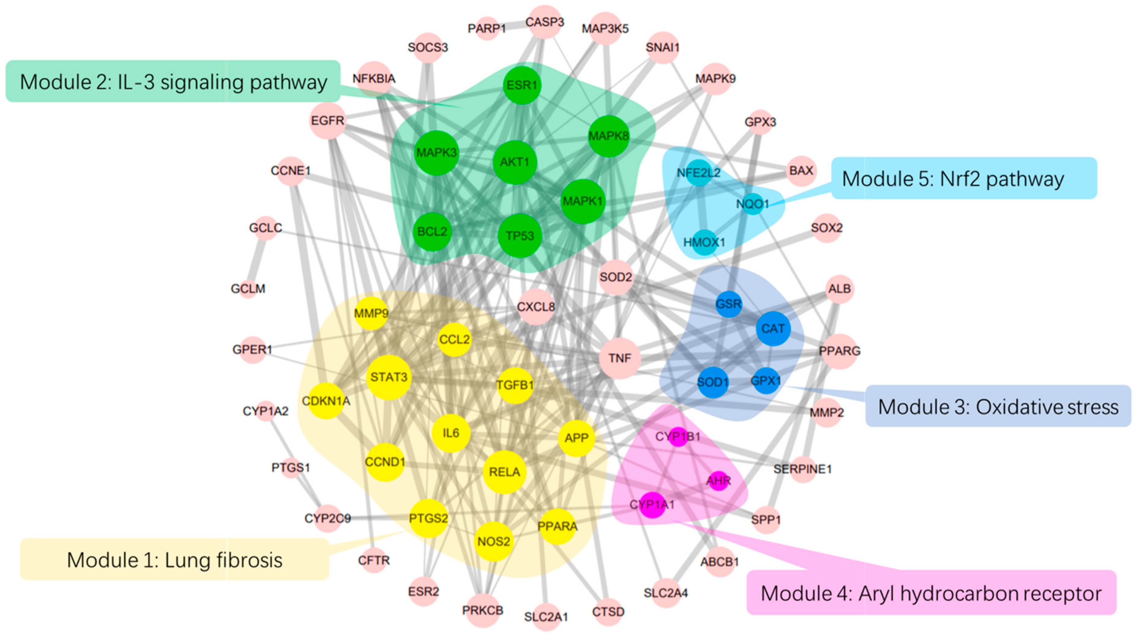 Molecules 25 04704 g002