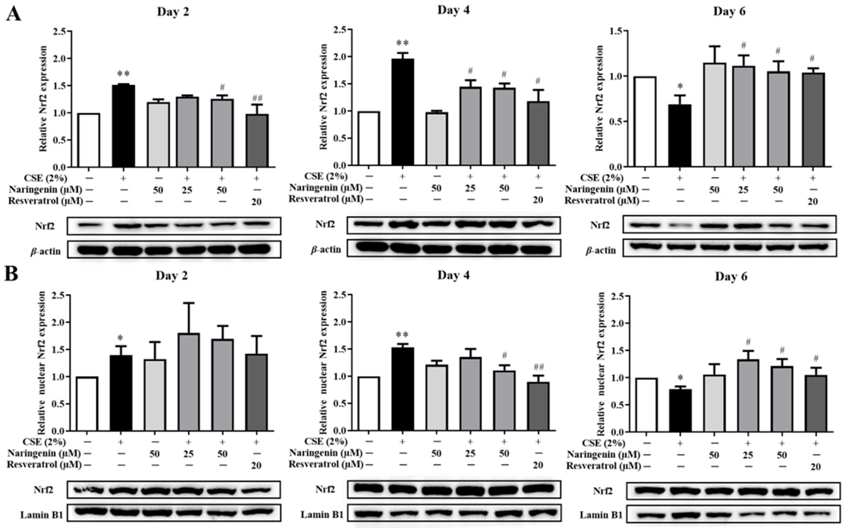 Molecules 25 04704 g007