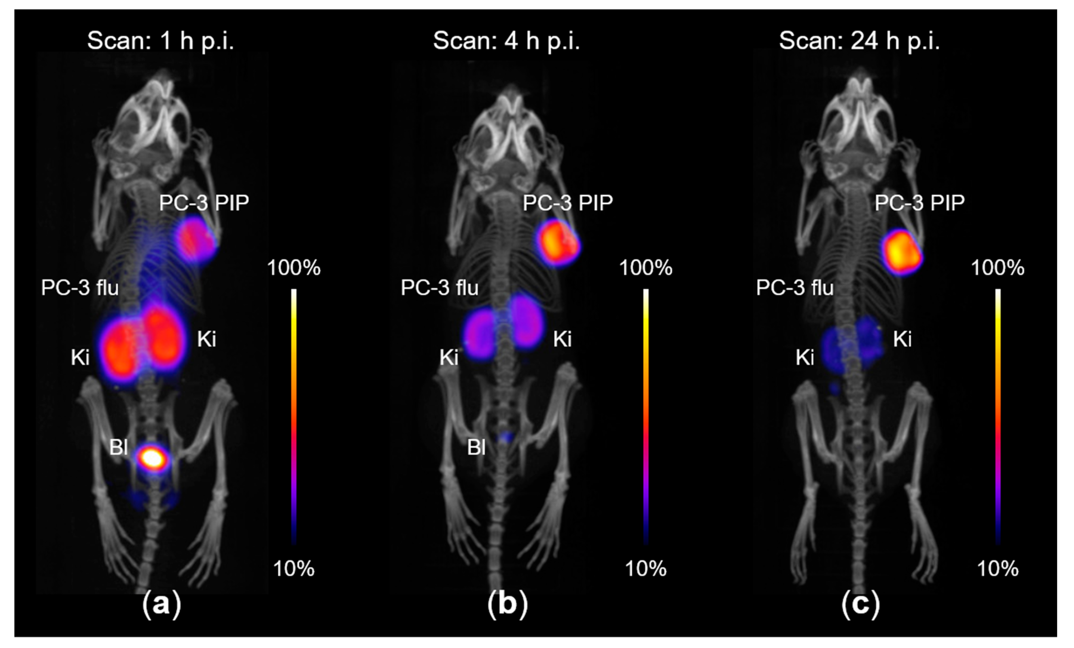 Molecules 25 04706 g008
