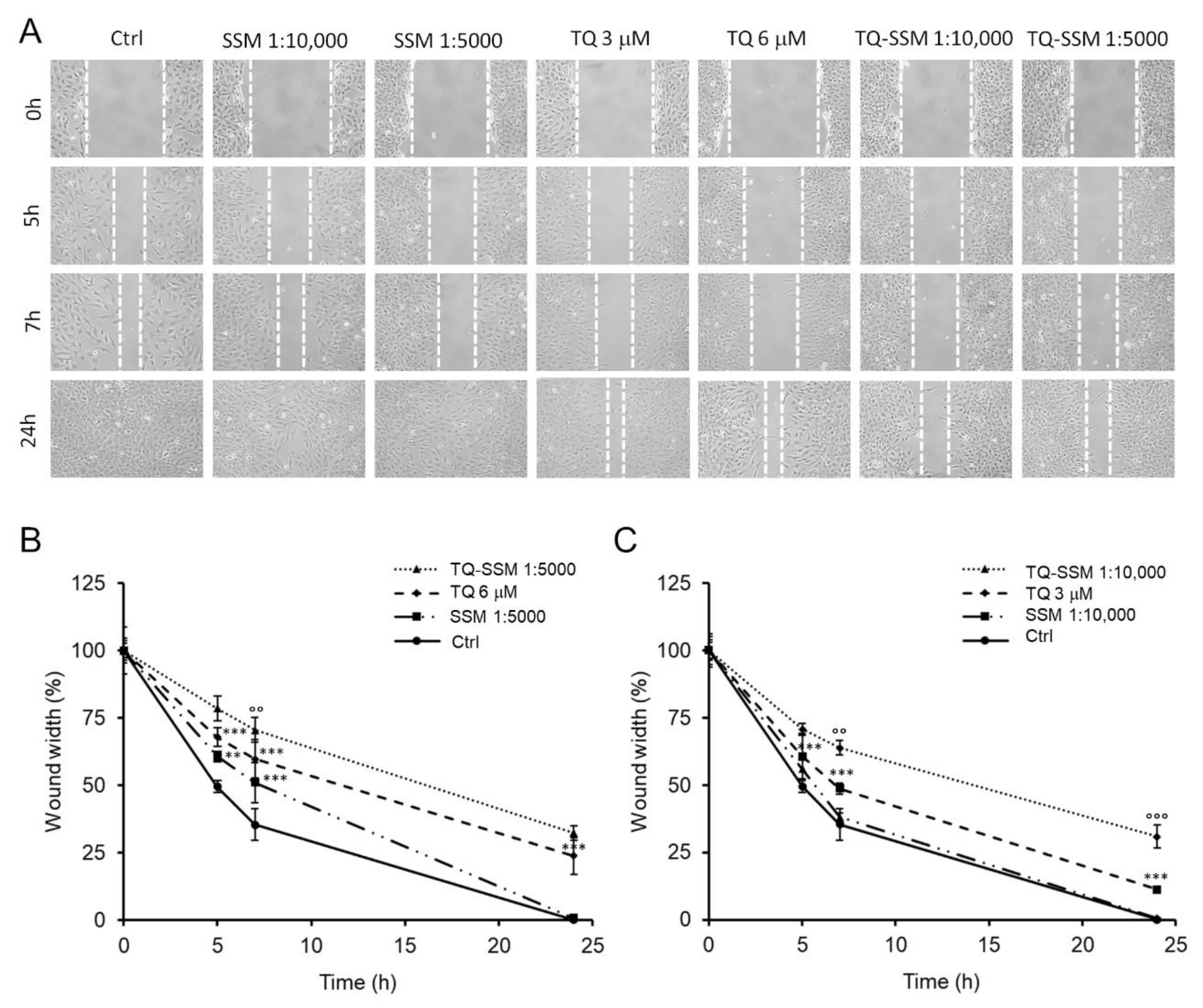 Molecules 25 04707 g008 Molecules 25 04707 g008