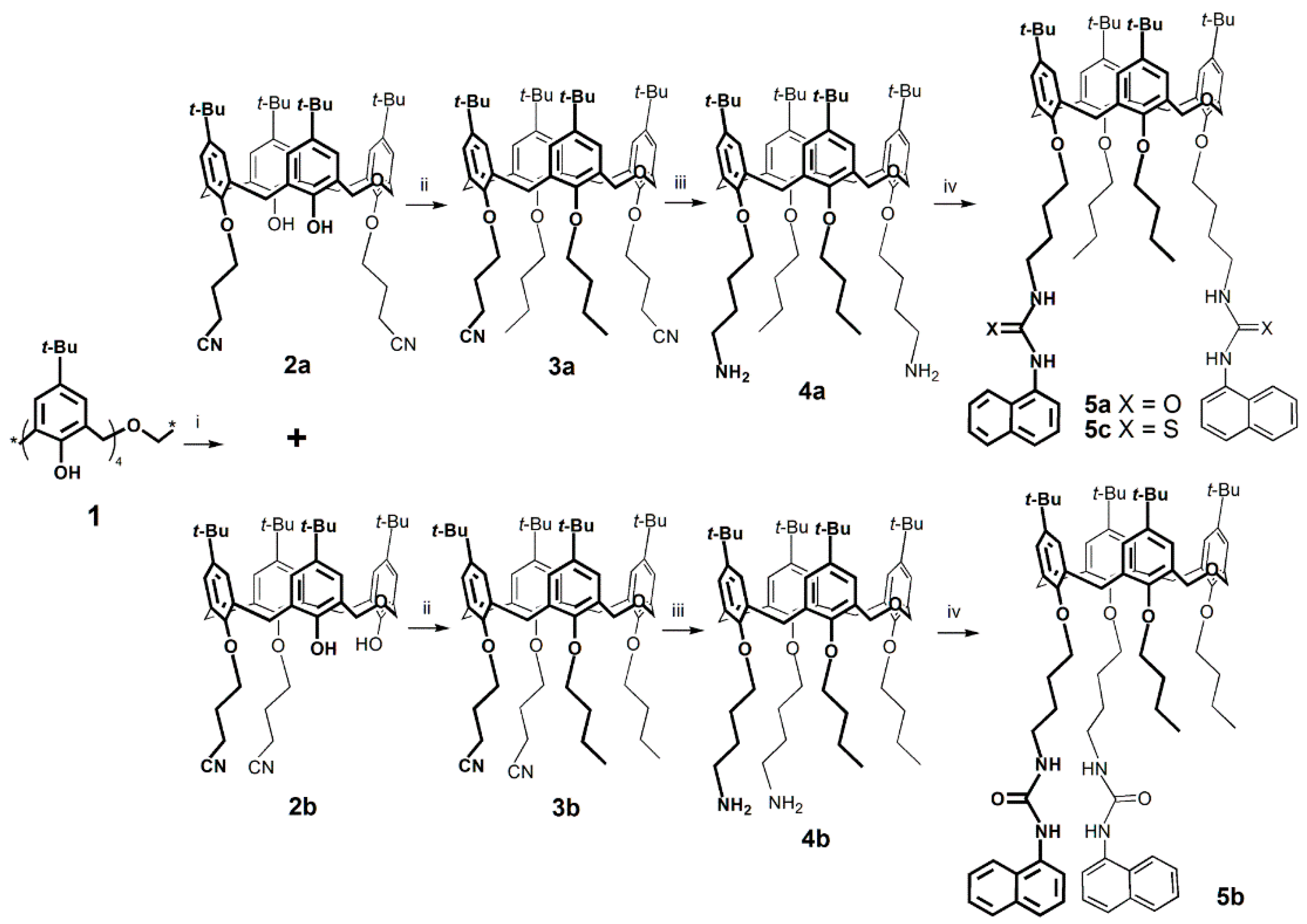 Molecules 25 04708 sch001 Molecules 25 04708 sch001