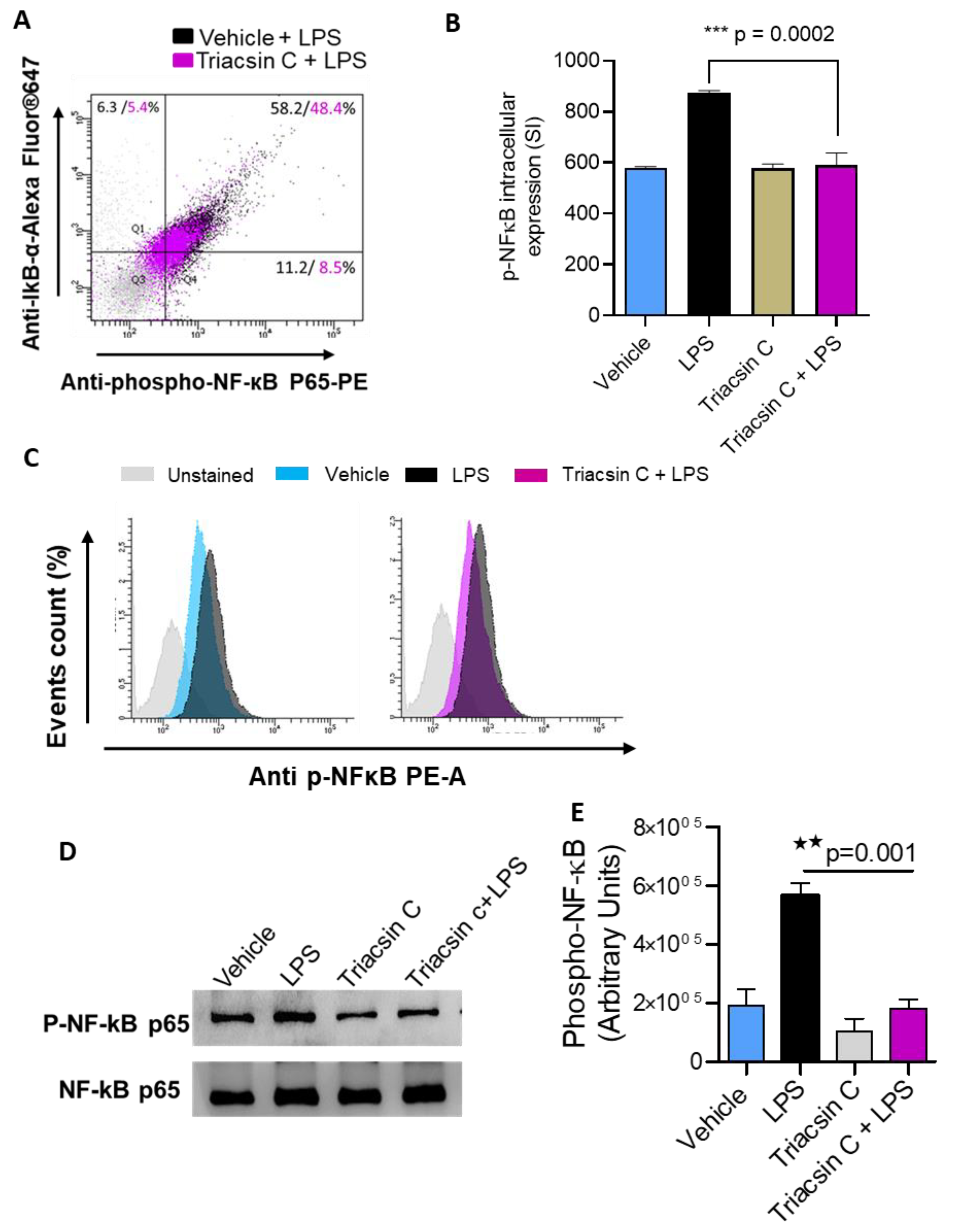 Molecules 25 04709 g004 Molecules 25 04709 g004