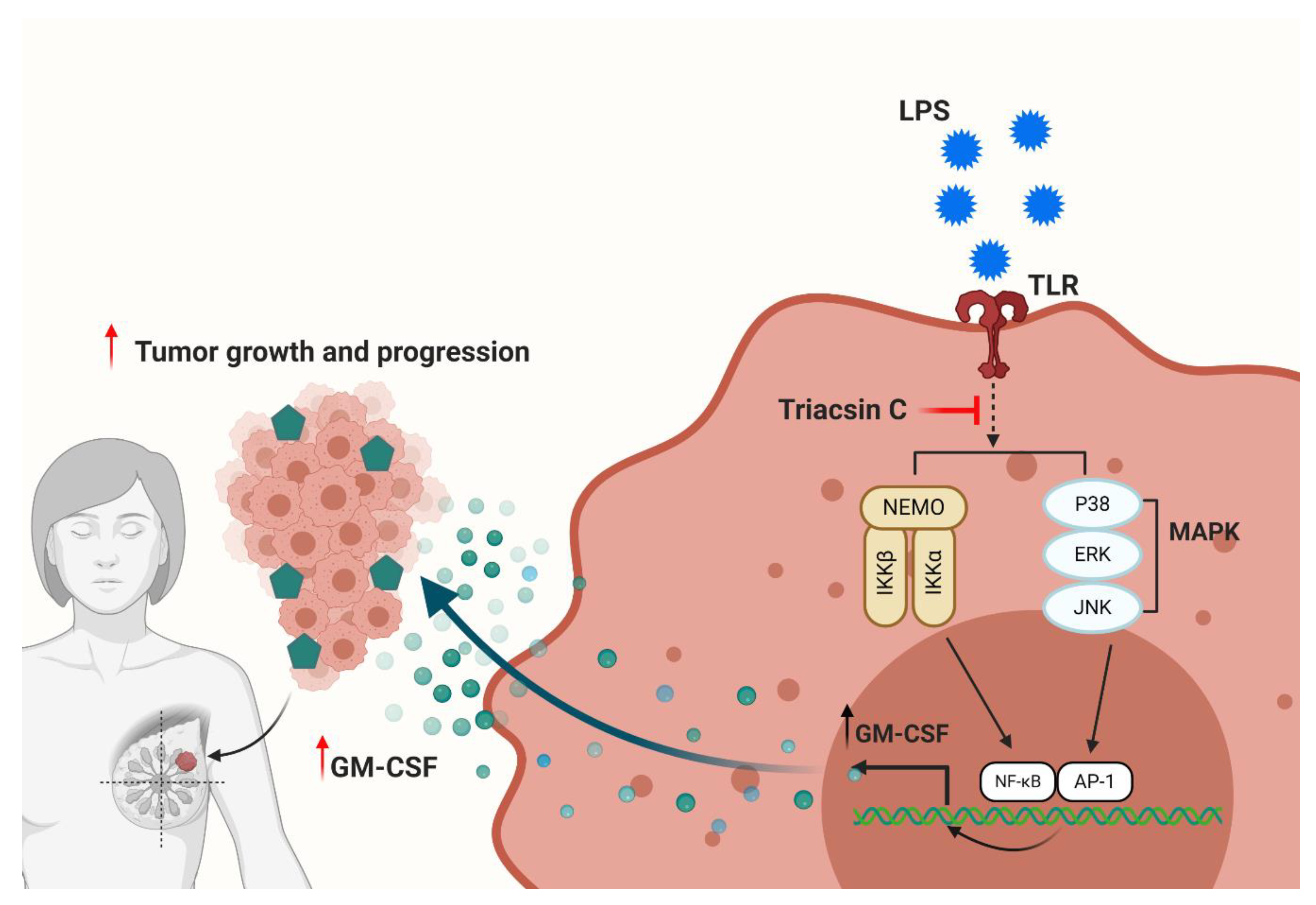 Molecules 25 04709 g005 Molecules 25 04709 g005