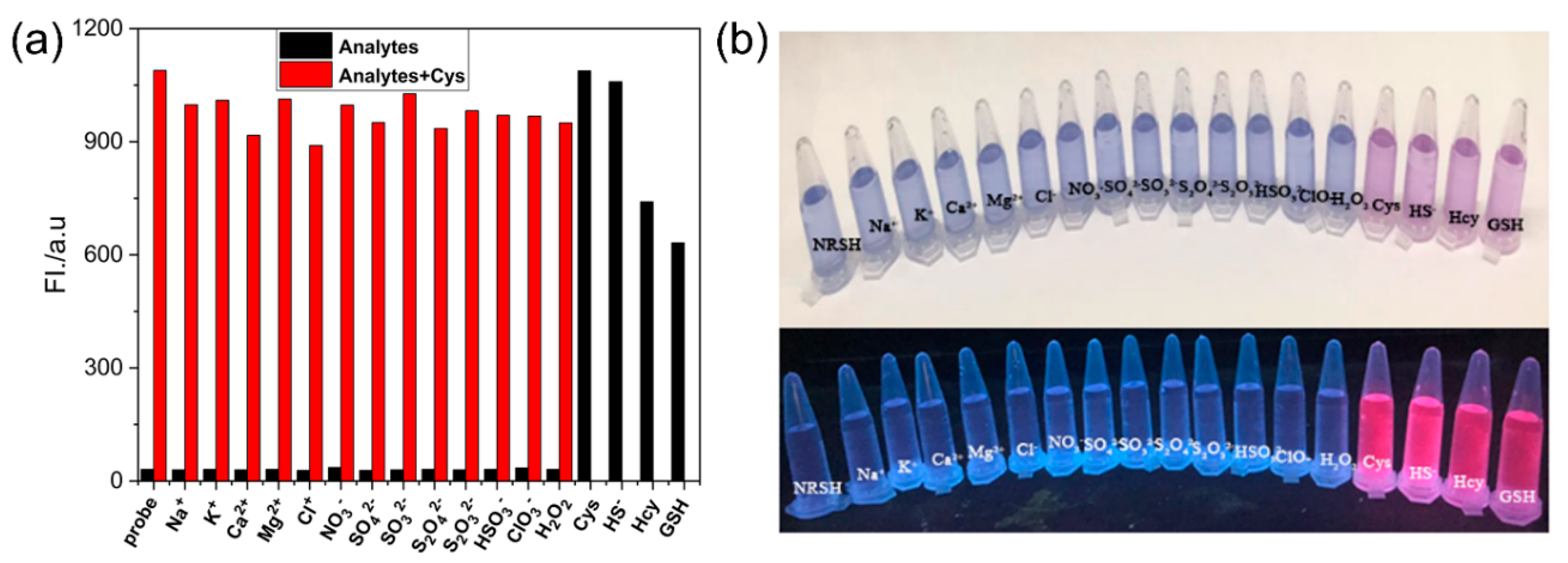 Molecules 25 04718 g003