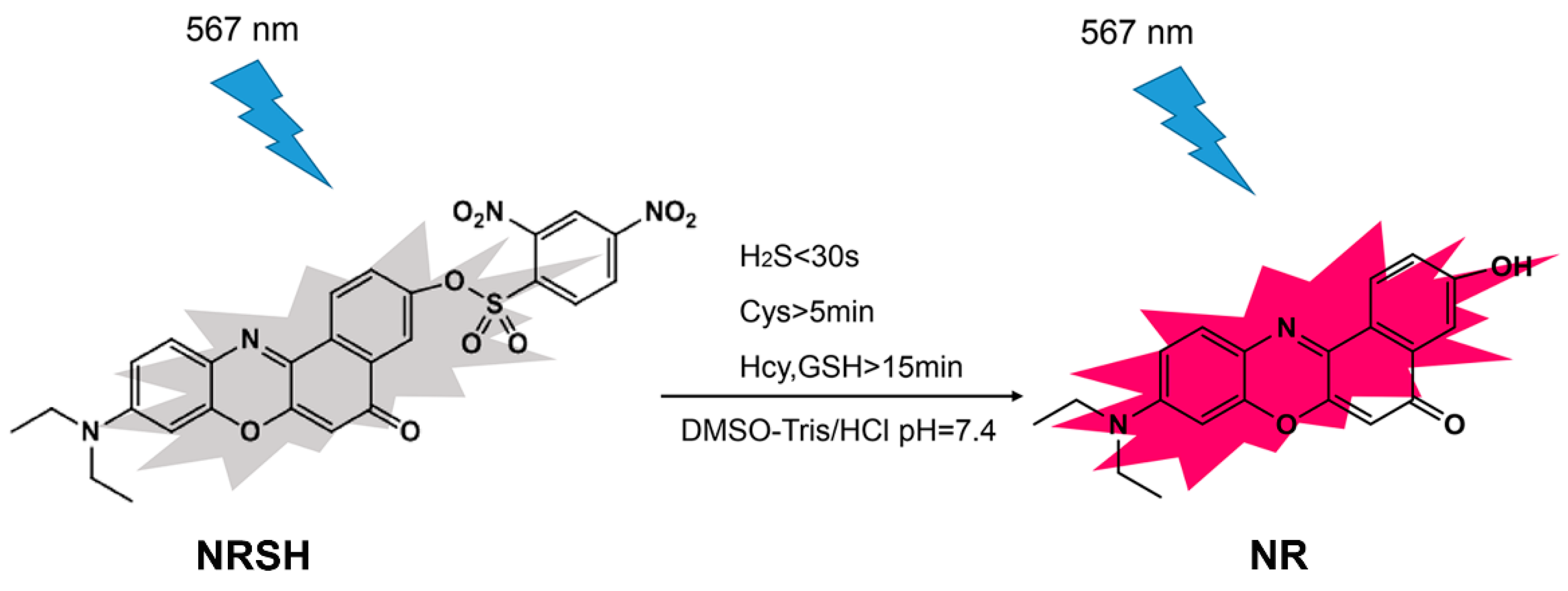 Molecules 25 04718 sch001