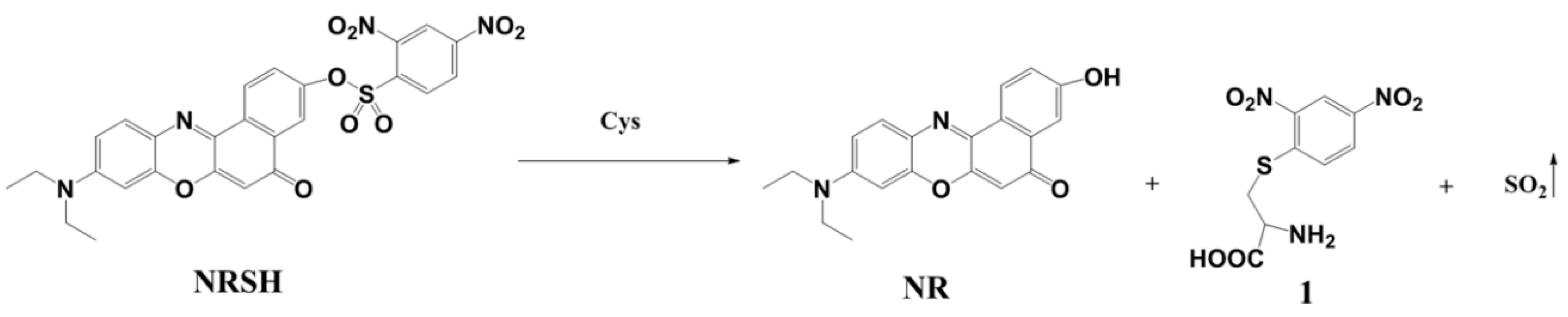 Molecules 25 04718 sch002