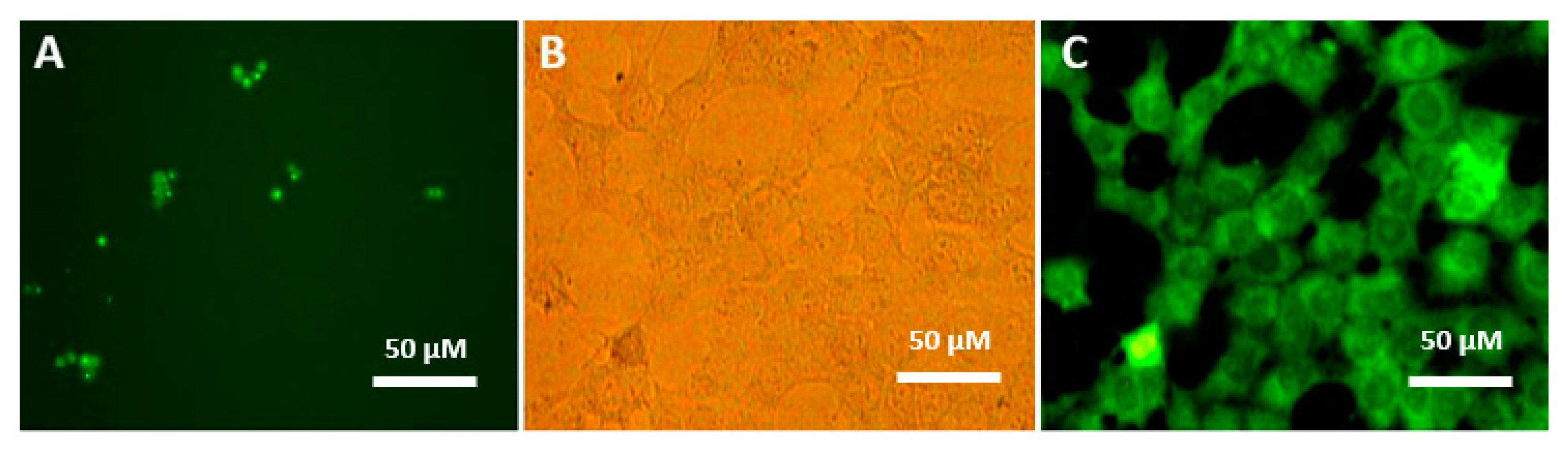 Molecules 25 04721 g005