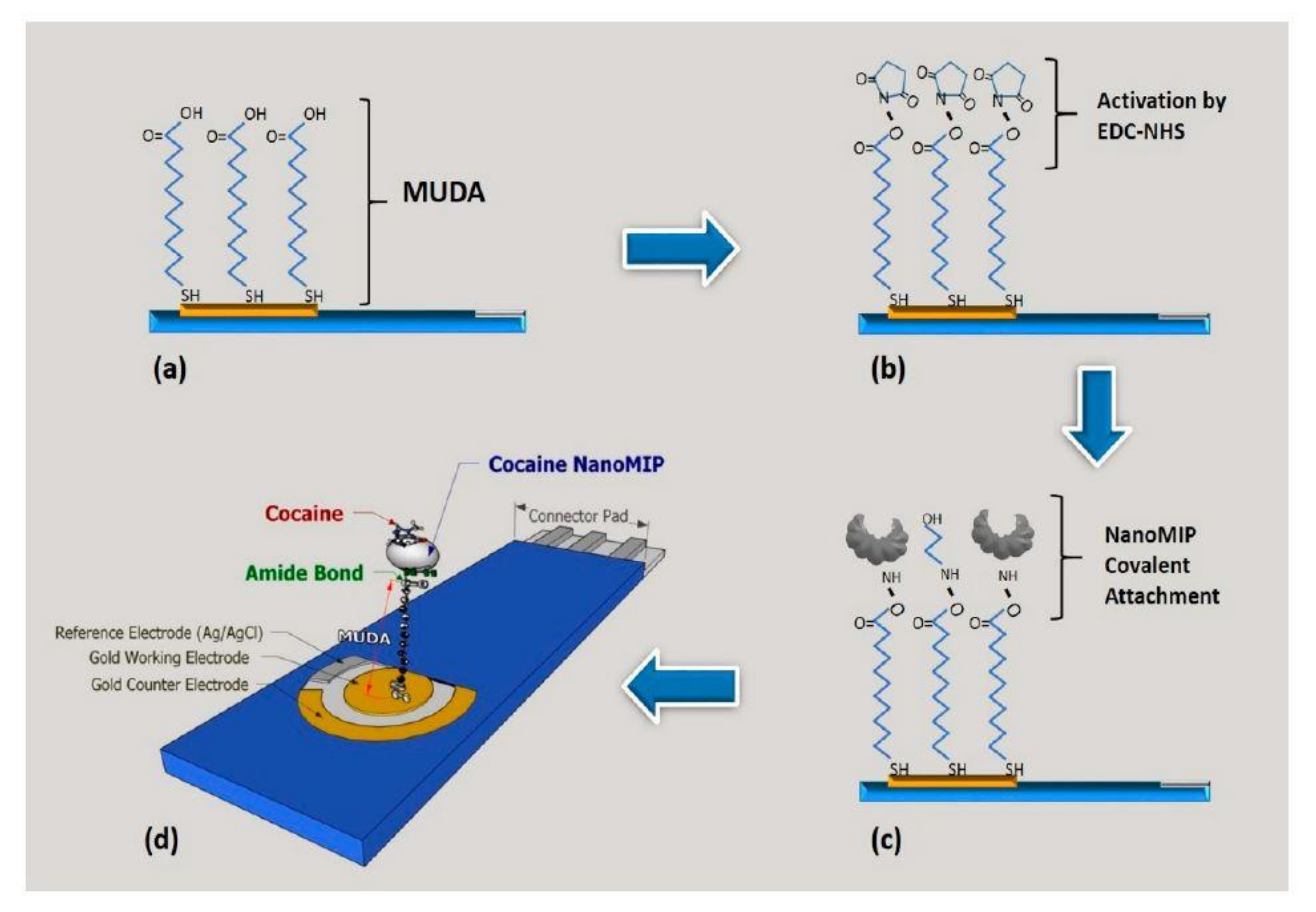Molecules 25 04740 sch003 Molecules 25 04740 sch003