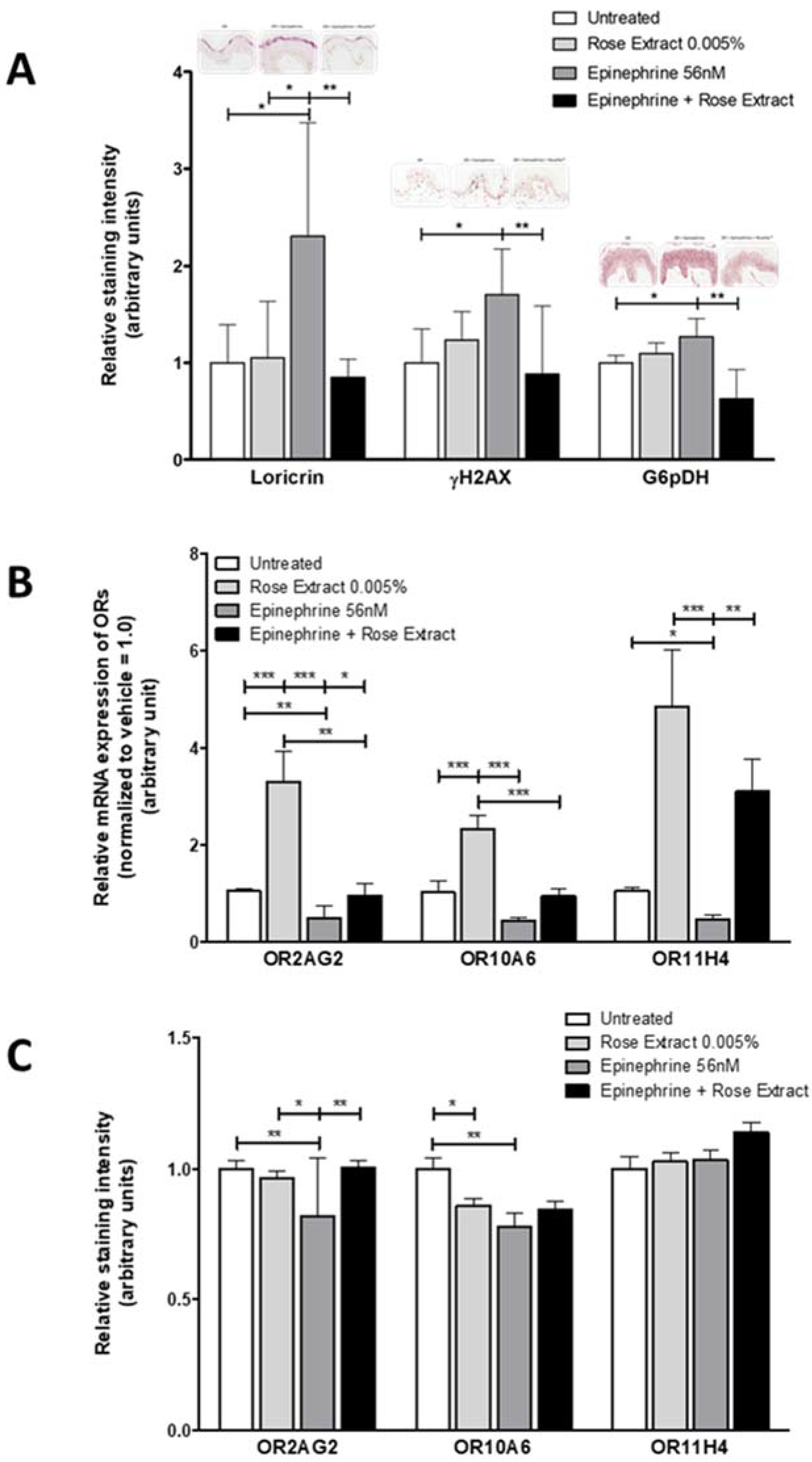 Molecules 25 04743 g003 Molecules 25 04743 g003