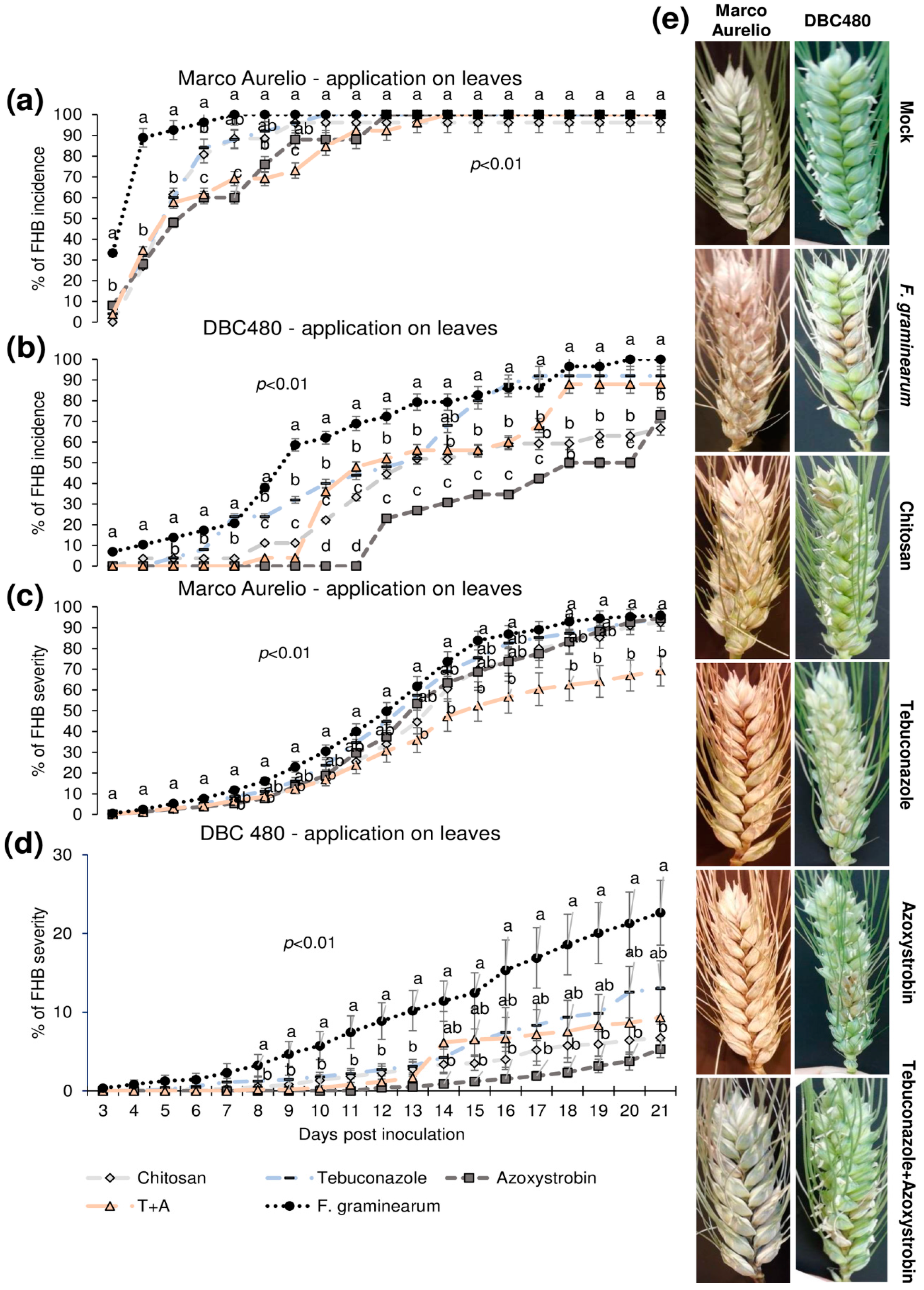 Molecules 25 04752 g005 Molecules 25 04752 g005