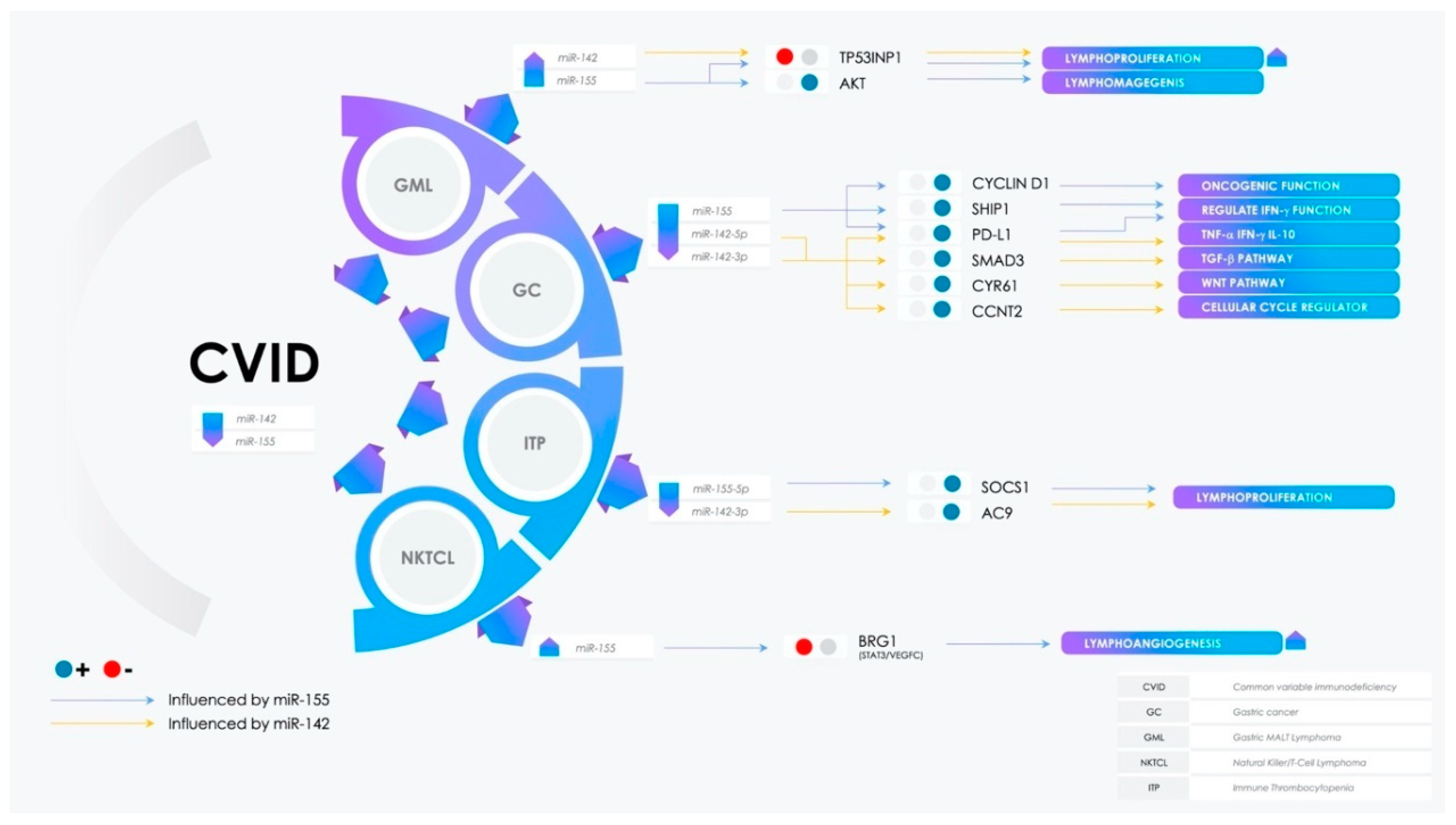 Molecules 25 04760 g003