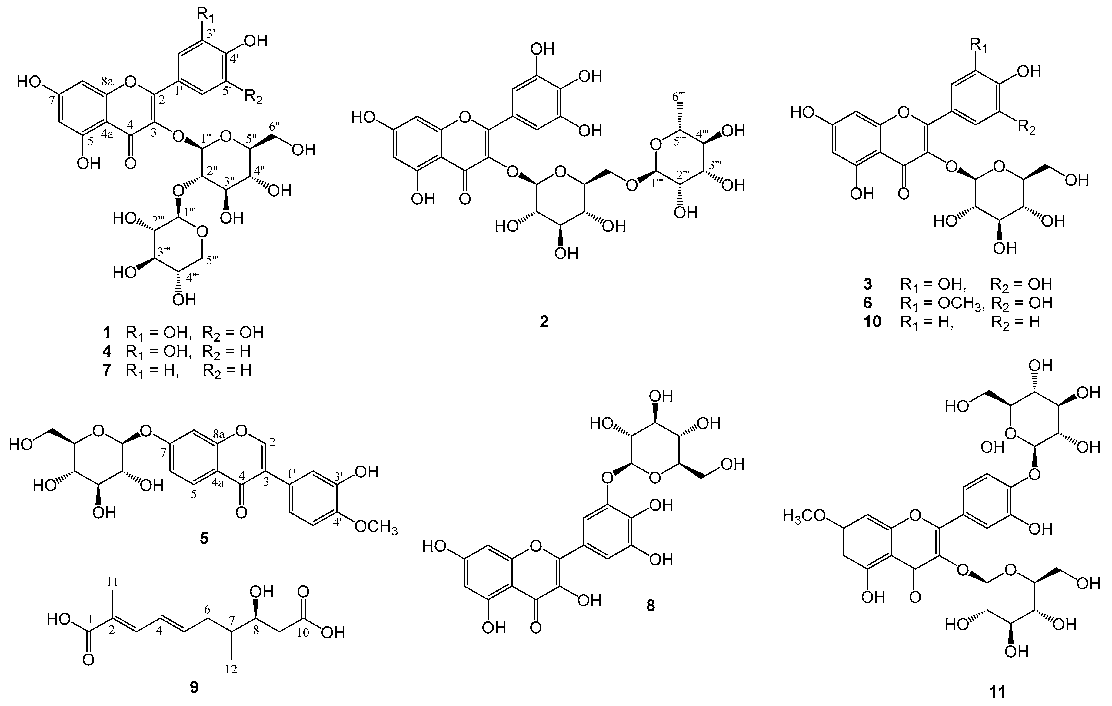 Molecules 25 04762 g001