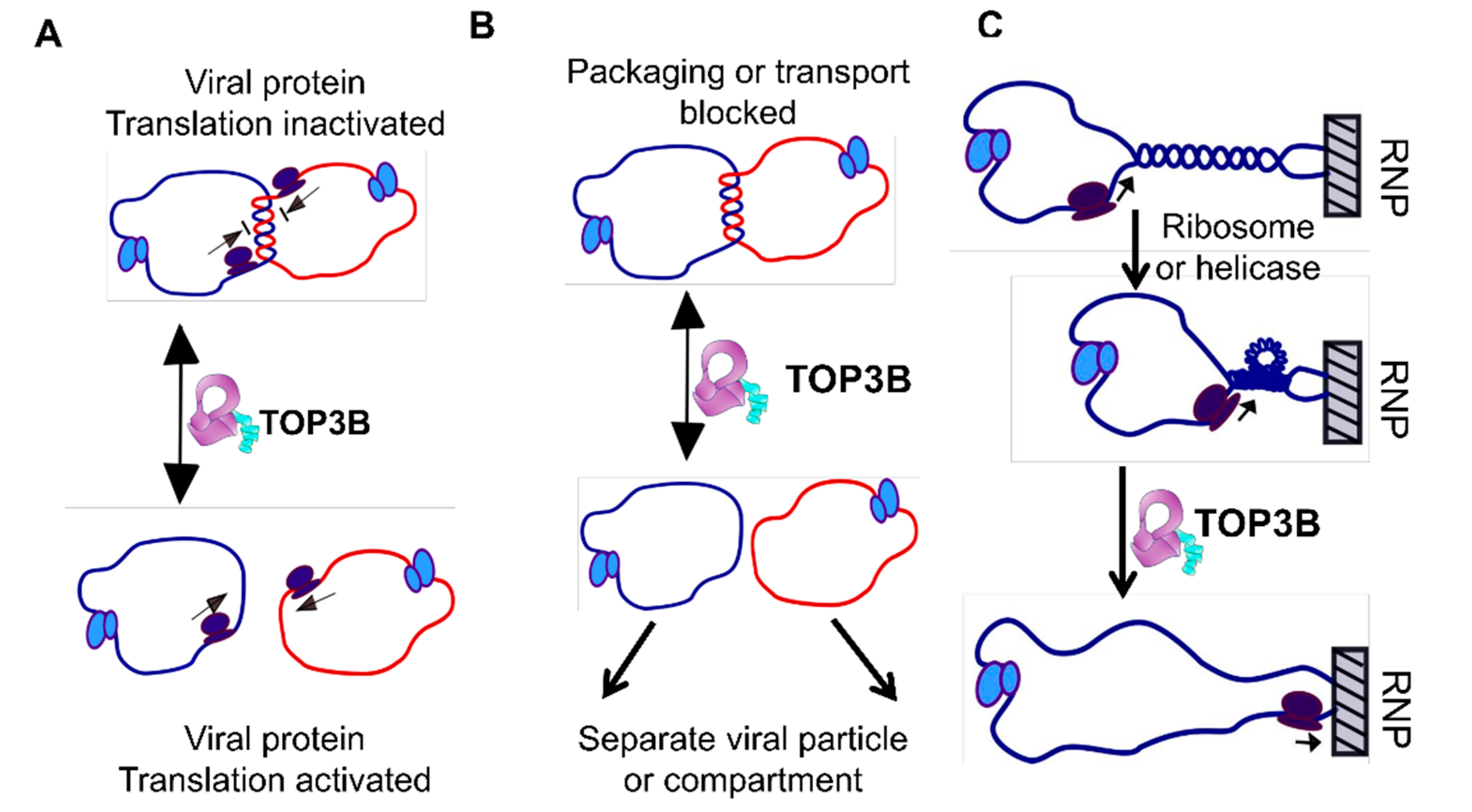 Molecules 25 04769 g001